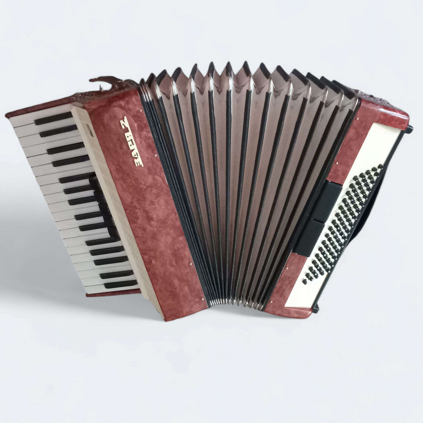 Piano Accordion Zaria 2