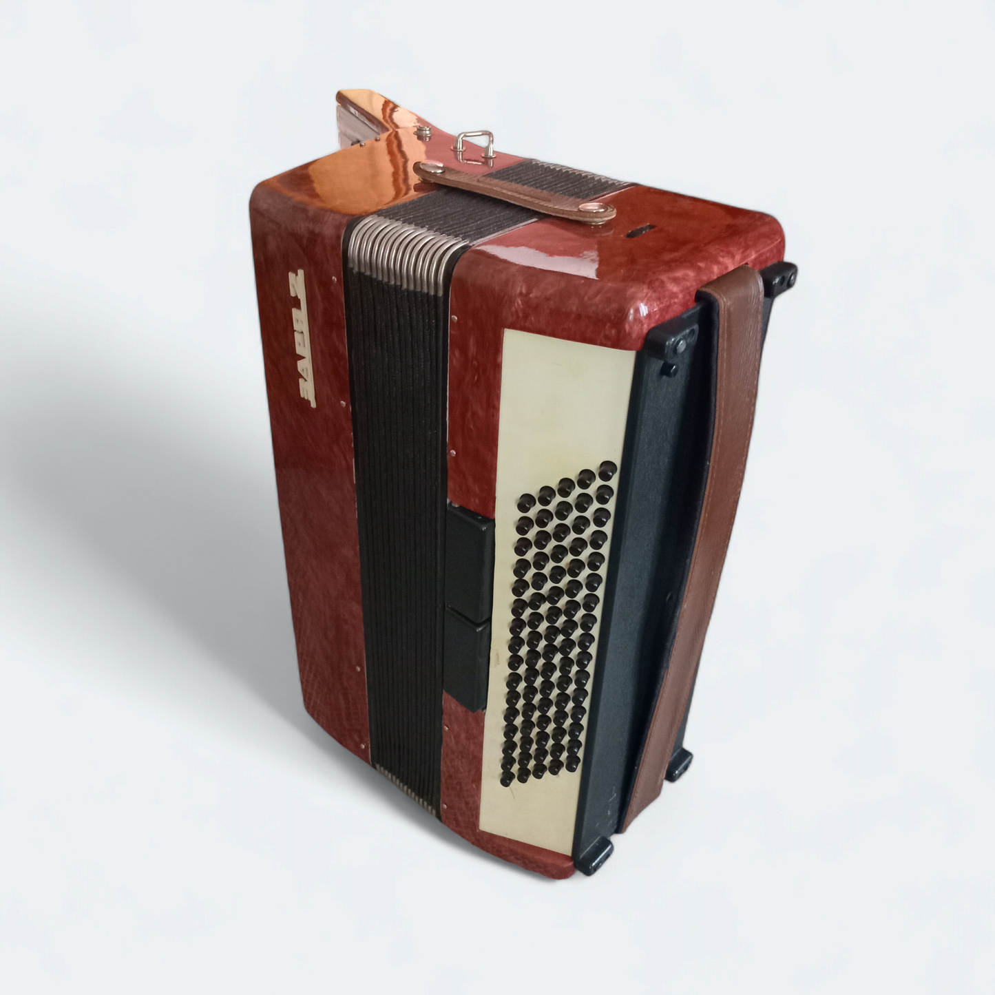 Piano Accordion Zaria 2