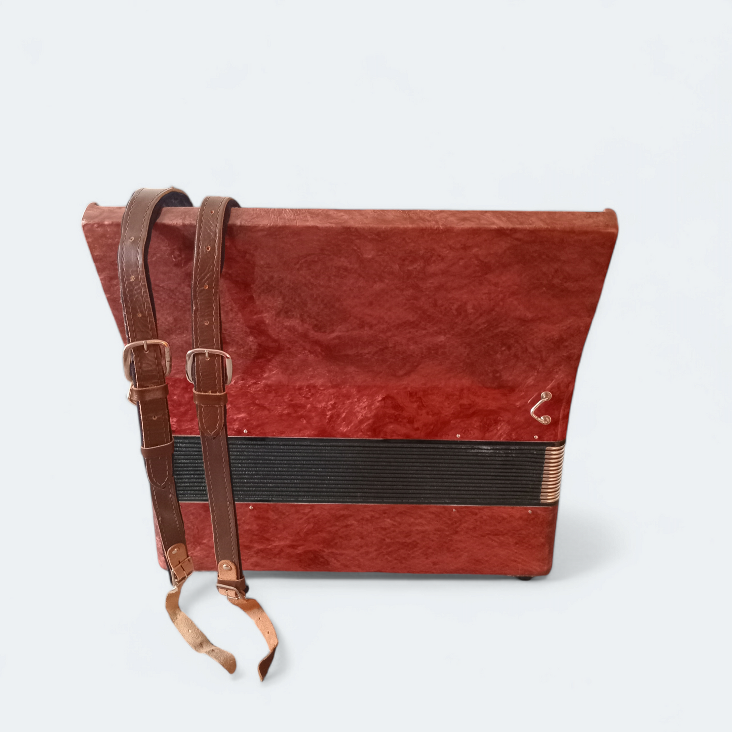 Piano Accordion Zaria 2