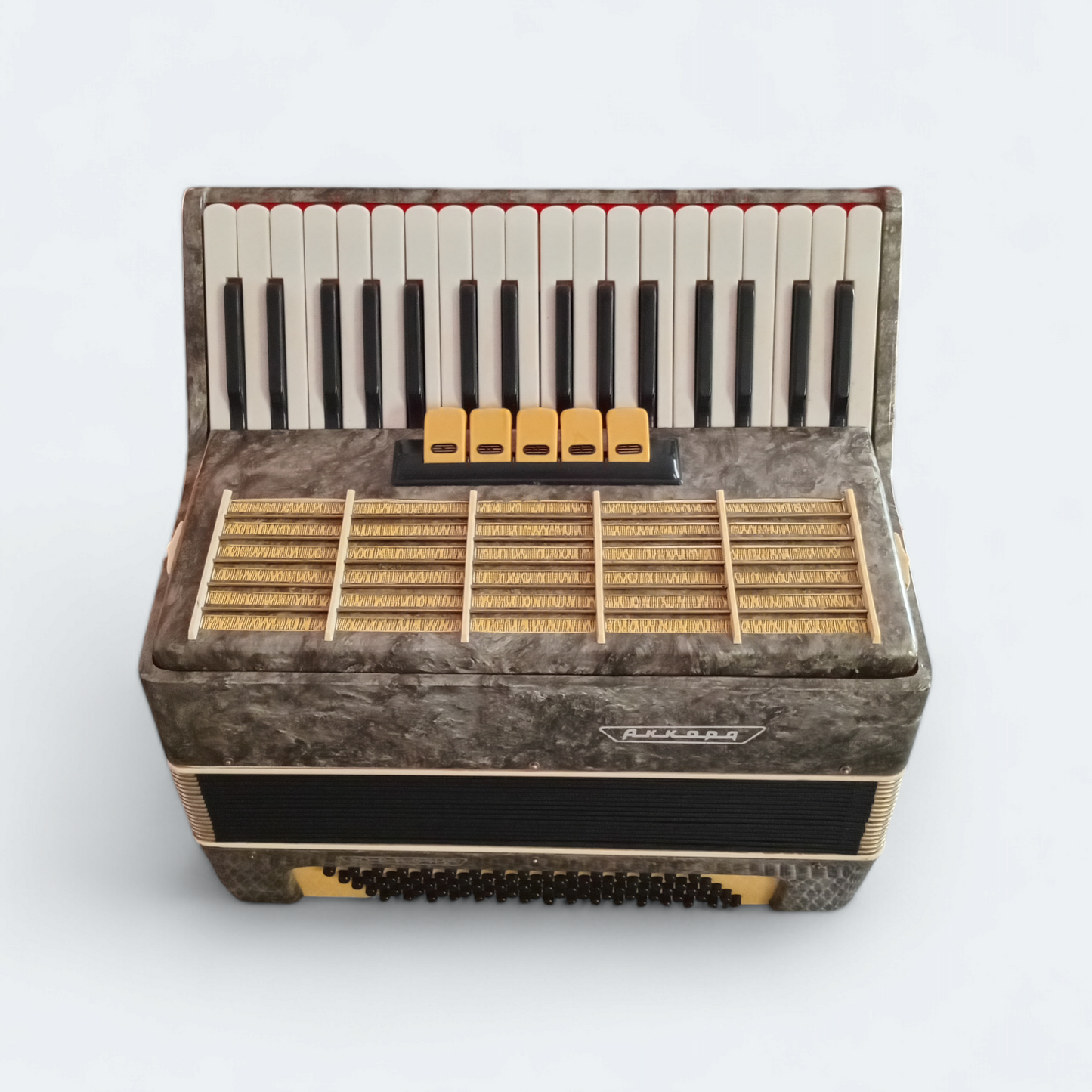 Piano Accordion Akkord