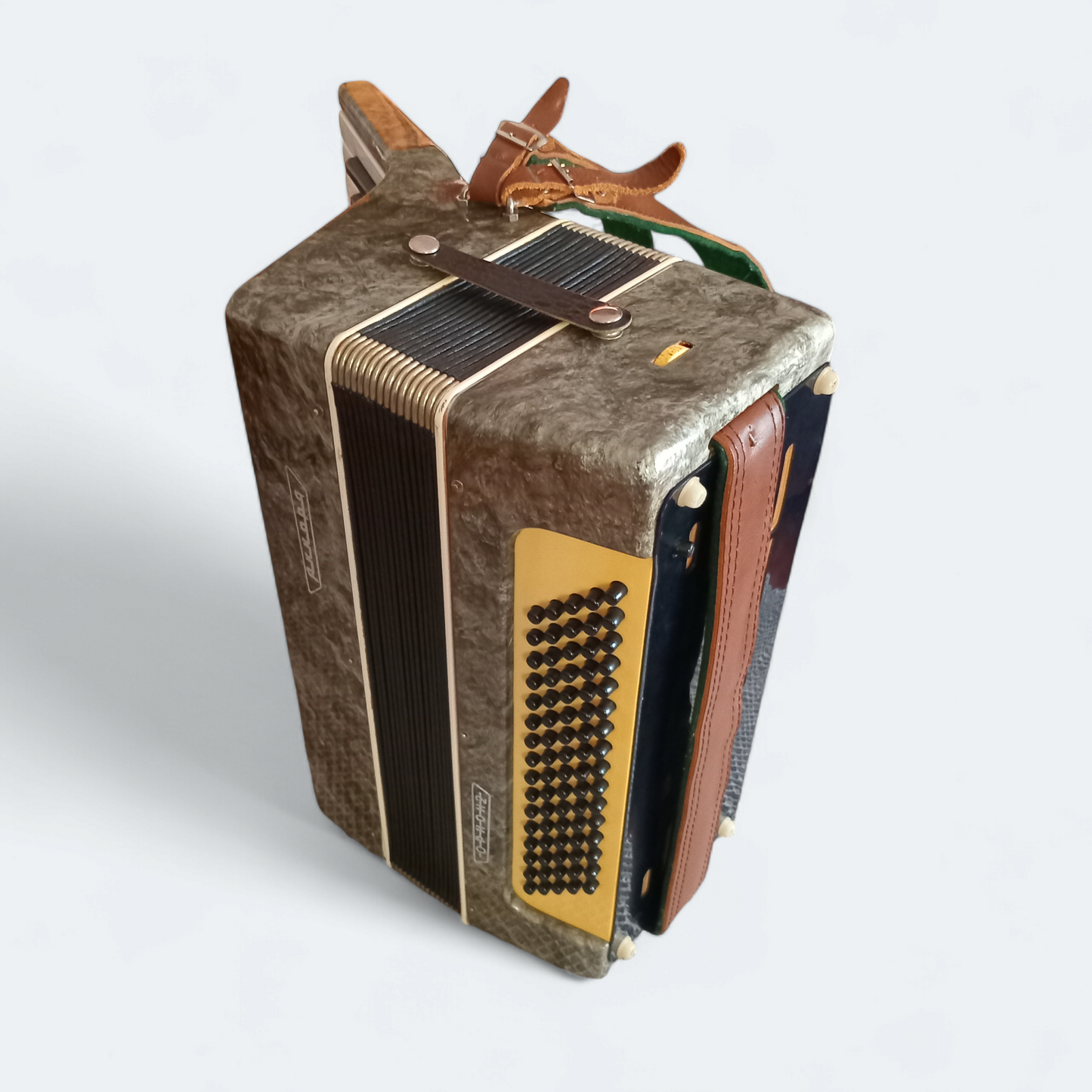 Piano Accordion Akkord