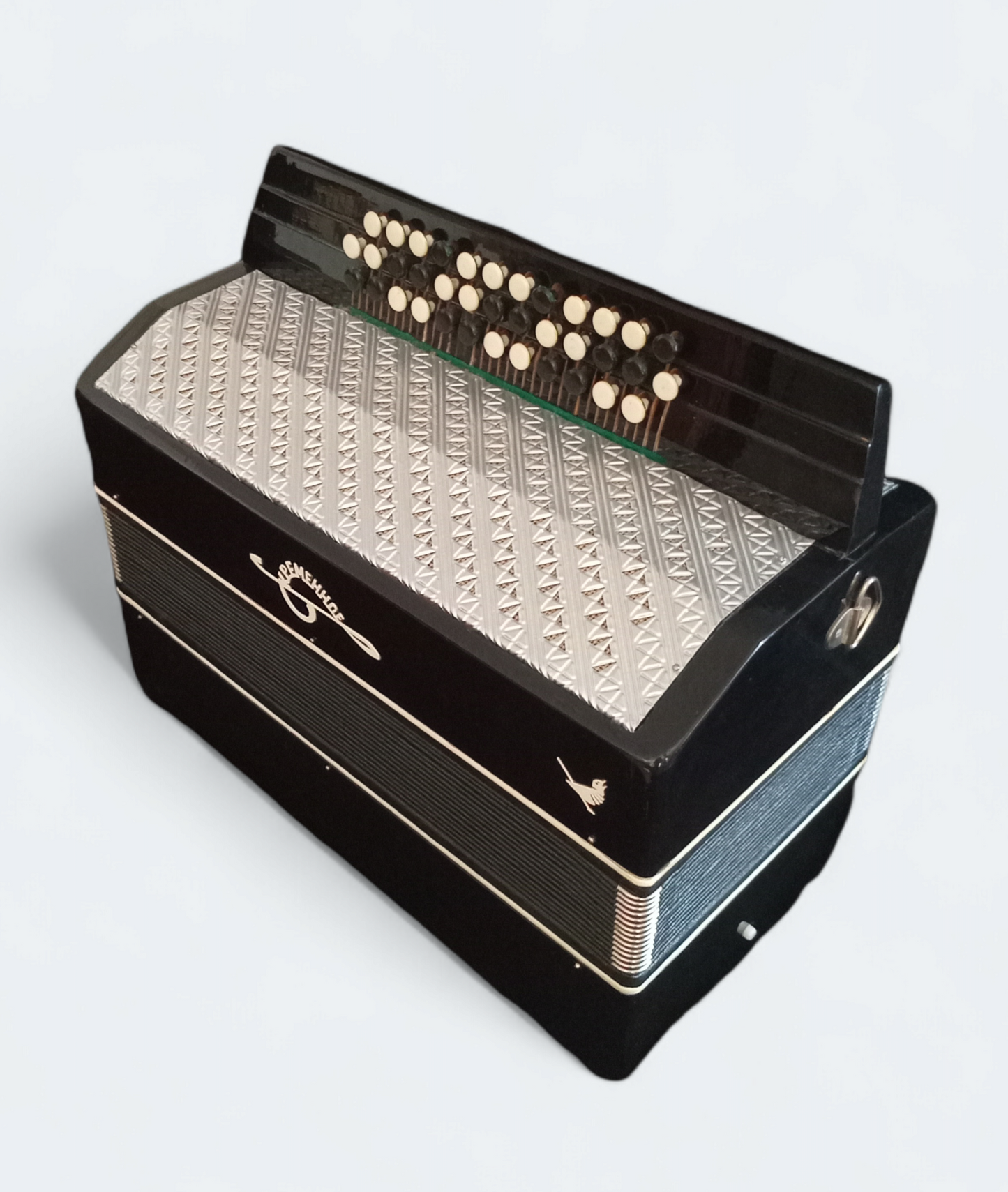 Orchestral Accordion Kremennoe