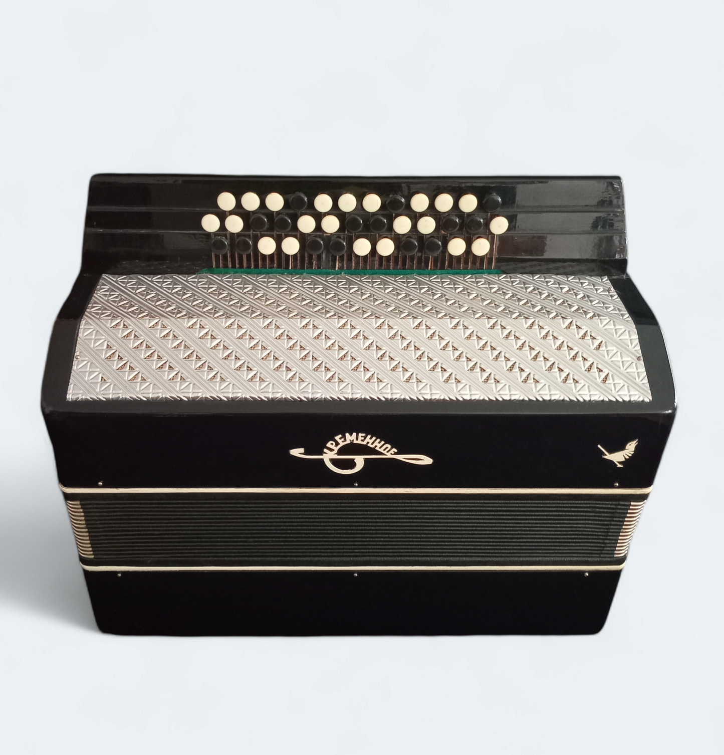 Orchestral Accordion Kremennoe