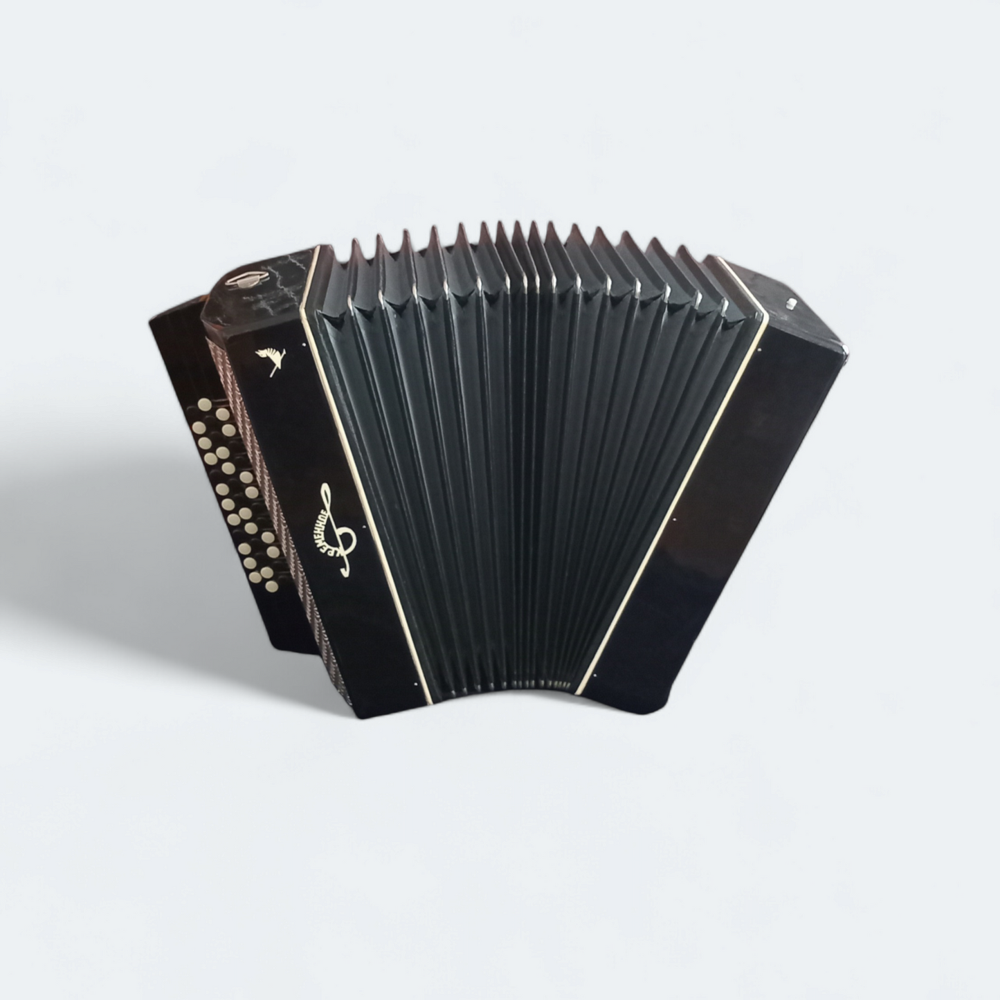 Orchestral Accordion Kremennoe