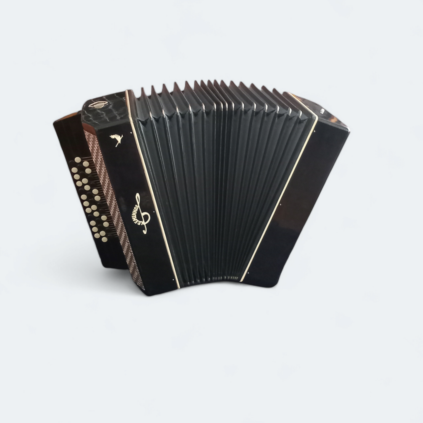 Orchestral Accordion Kremennoe