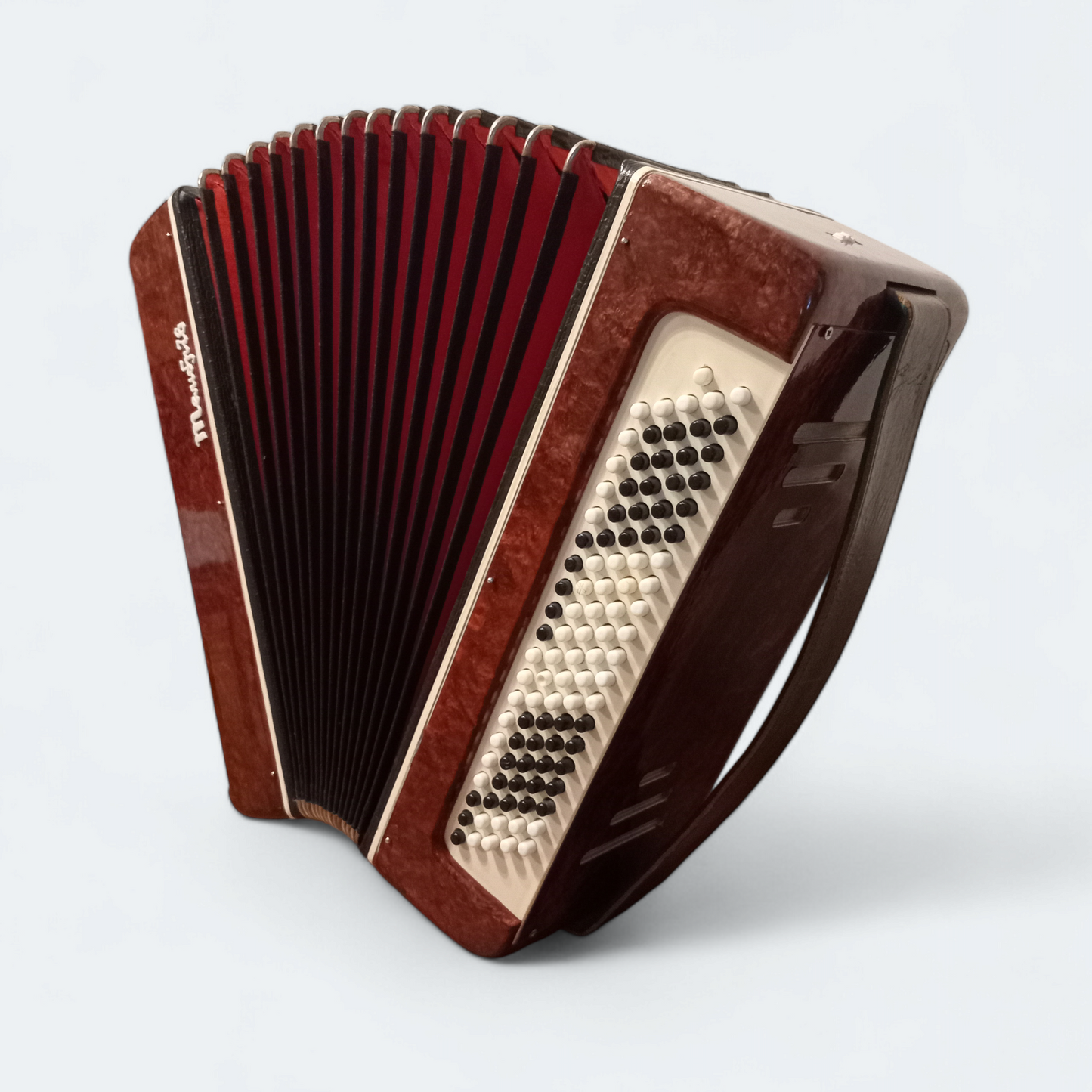 Accordion Bayan Tembr-76