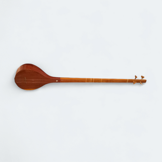 Setar Stringed Instrument