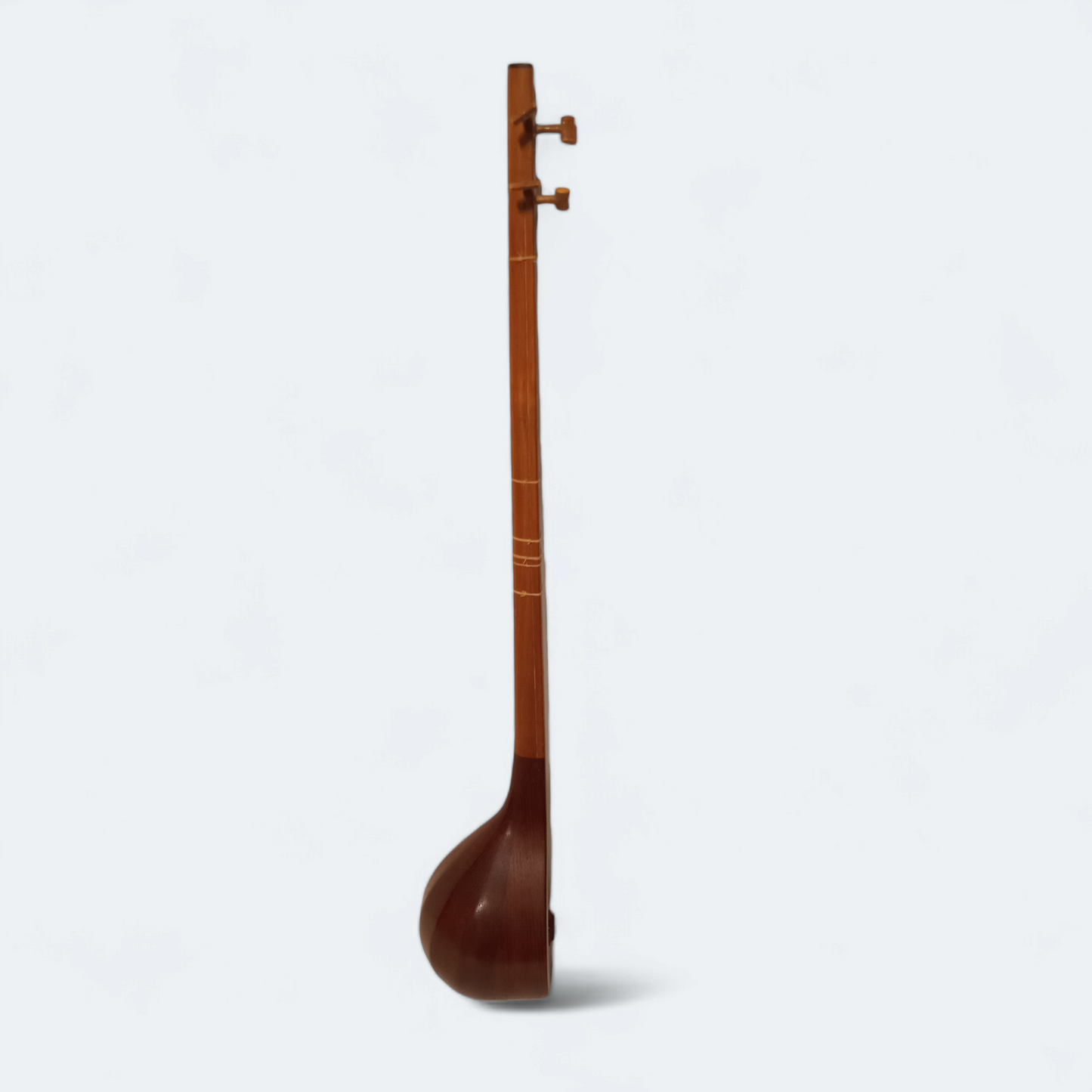 Setar Stringed Instrument