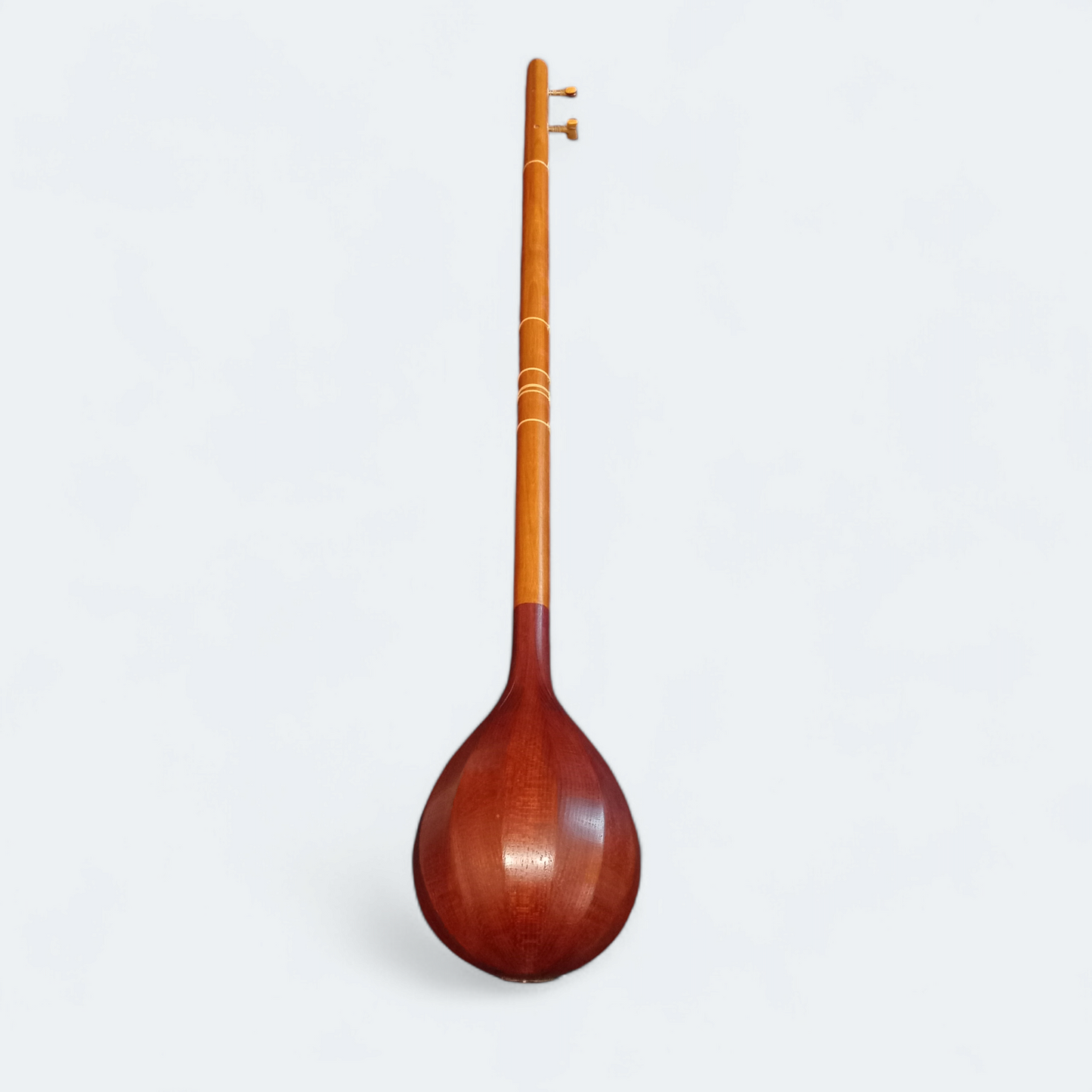 Setar Stringed Instrument
