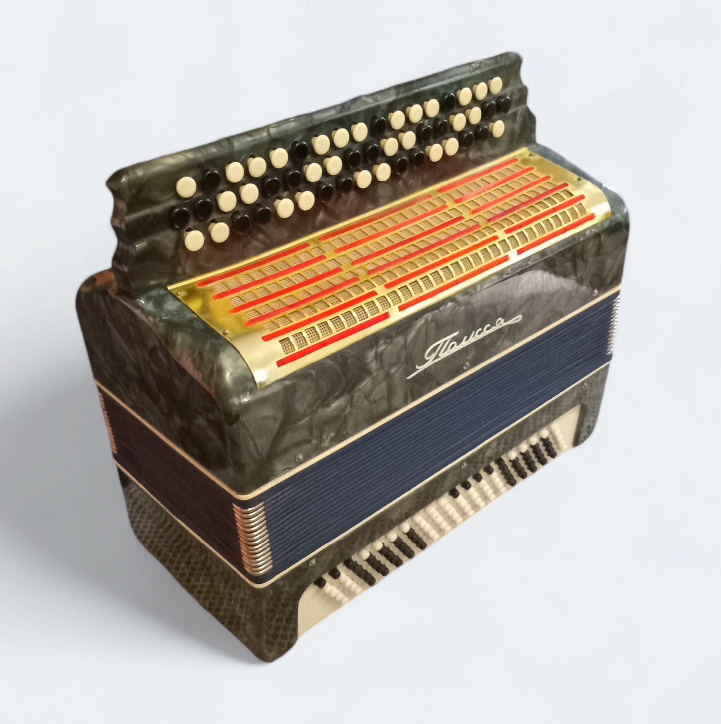 Accordion Bayan Polisia