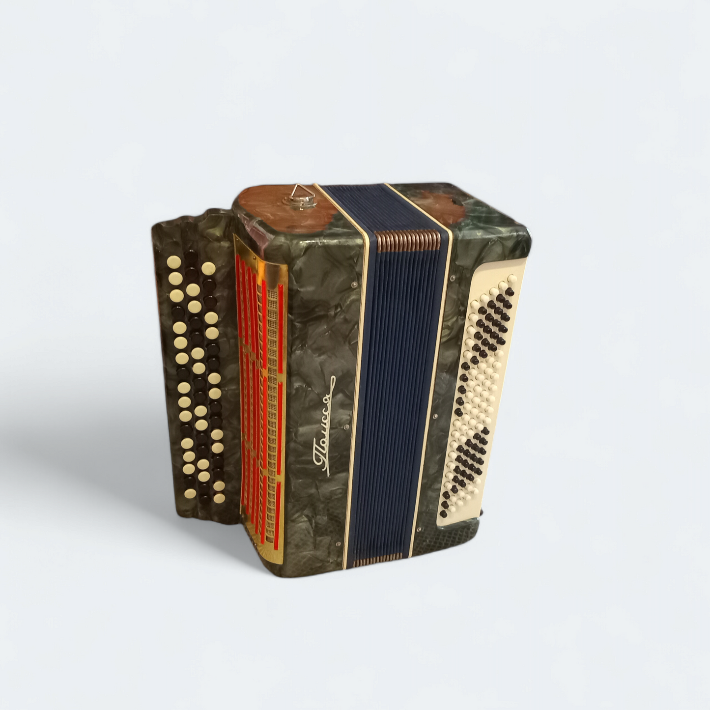 Accordion Bayan Polisia