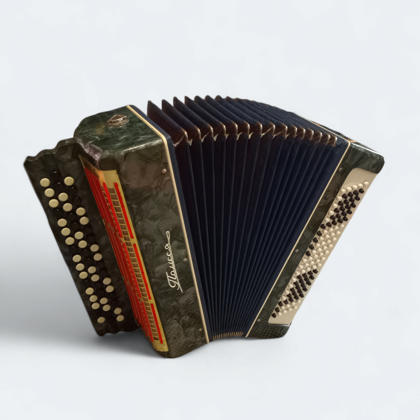 Accordion Bayan Polisia