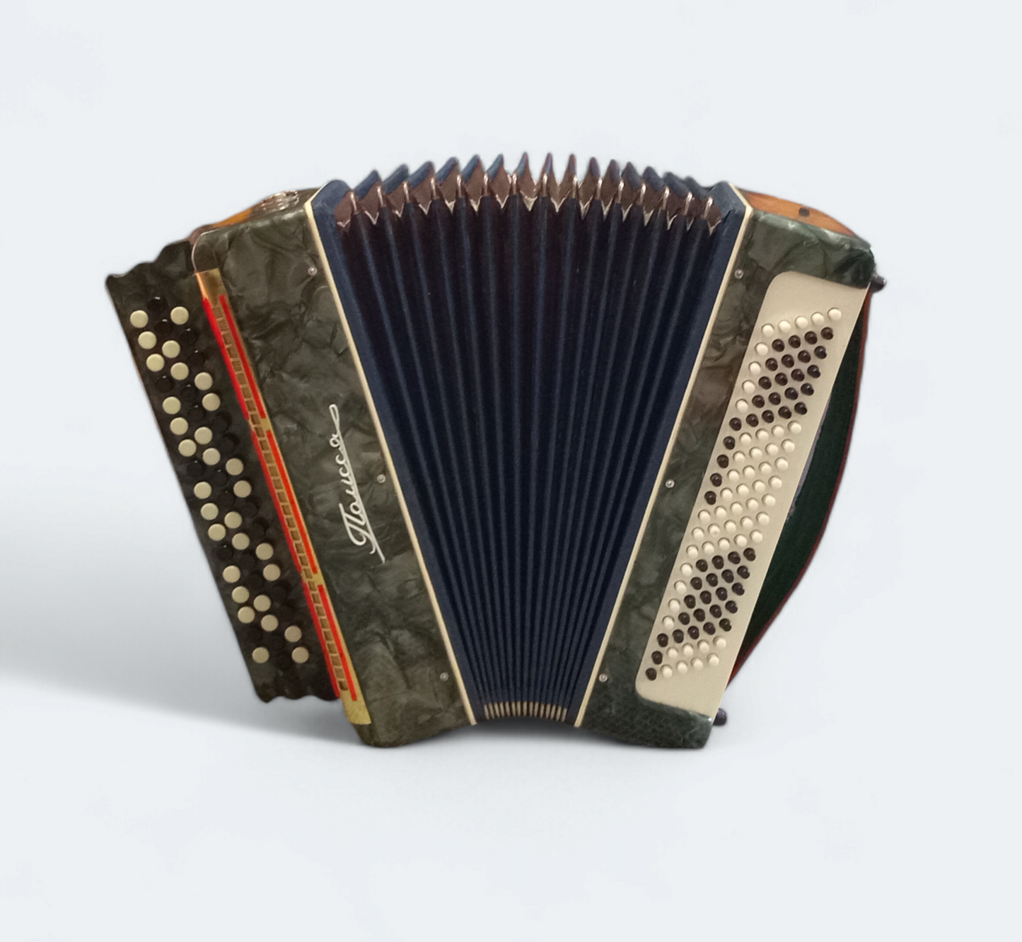 Accordion Bayan Polisia
