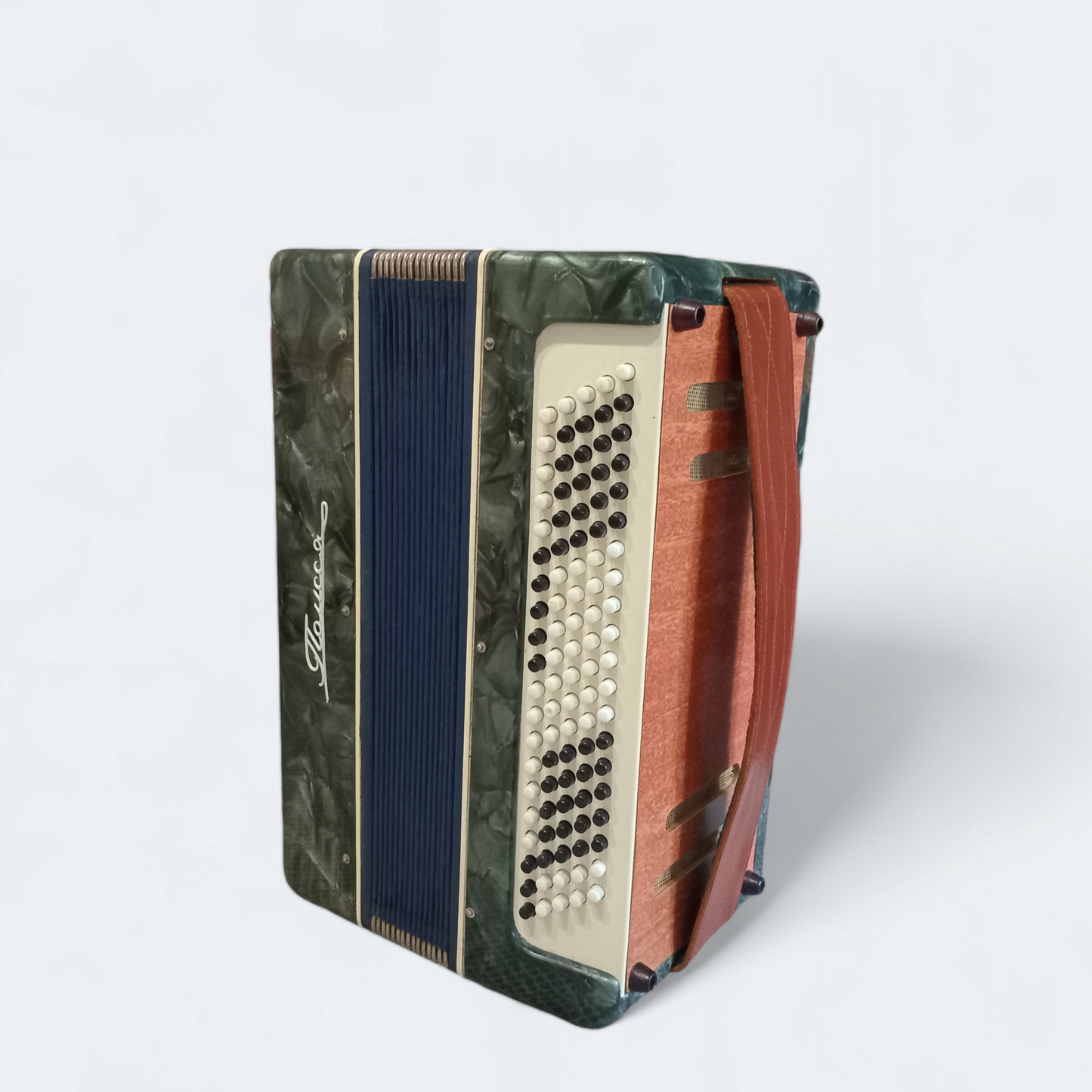 Accordion Bayan Polisia