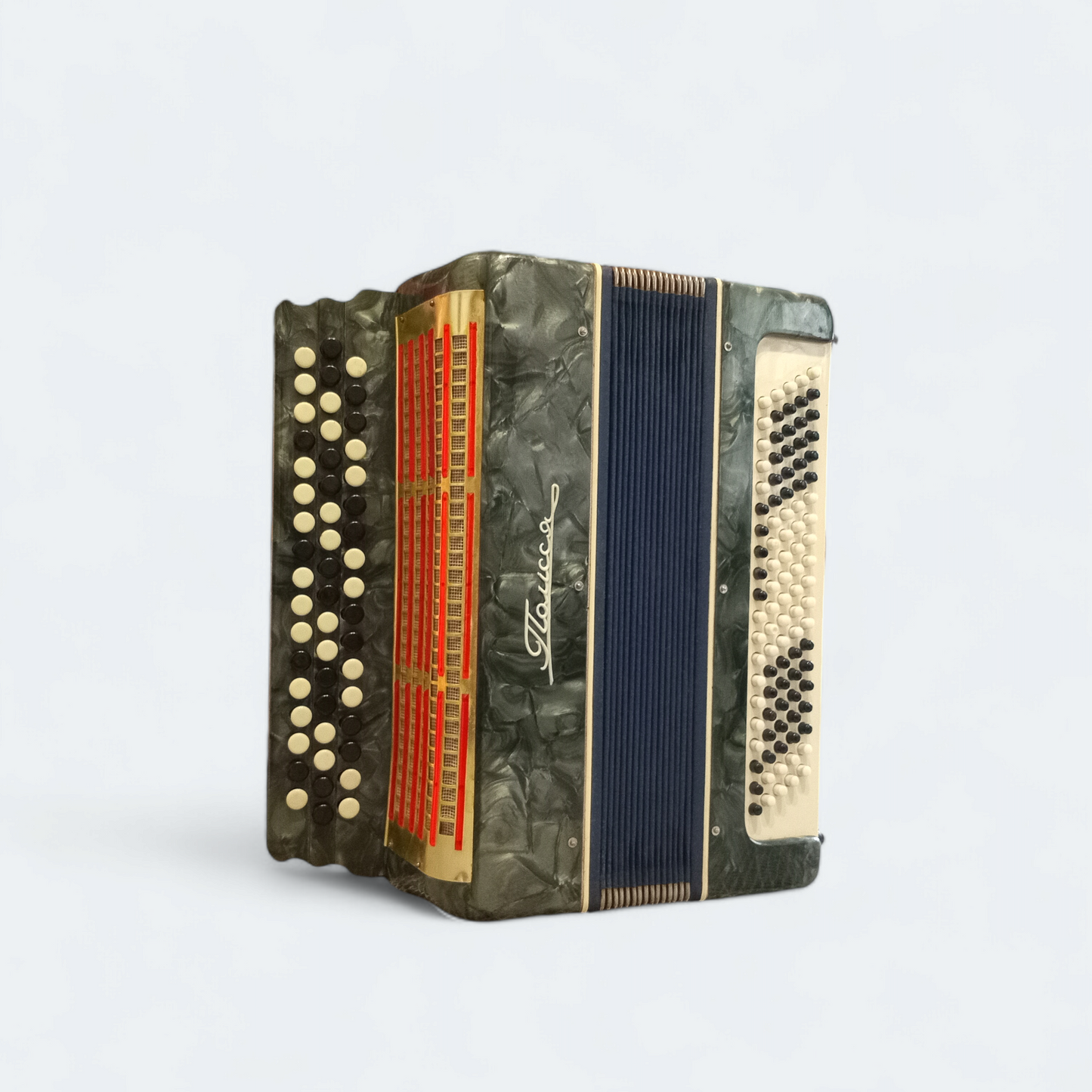 Accordion Bayan Polisia