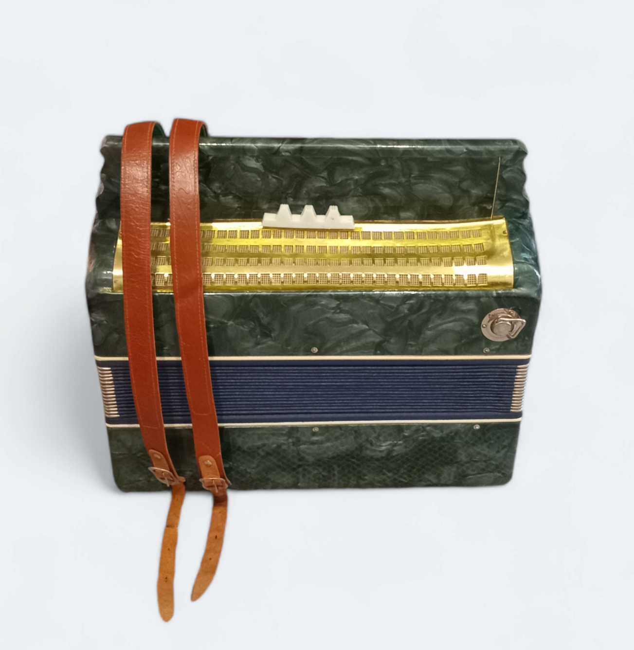 Accordion Bayan Polisia