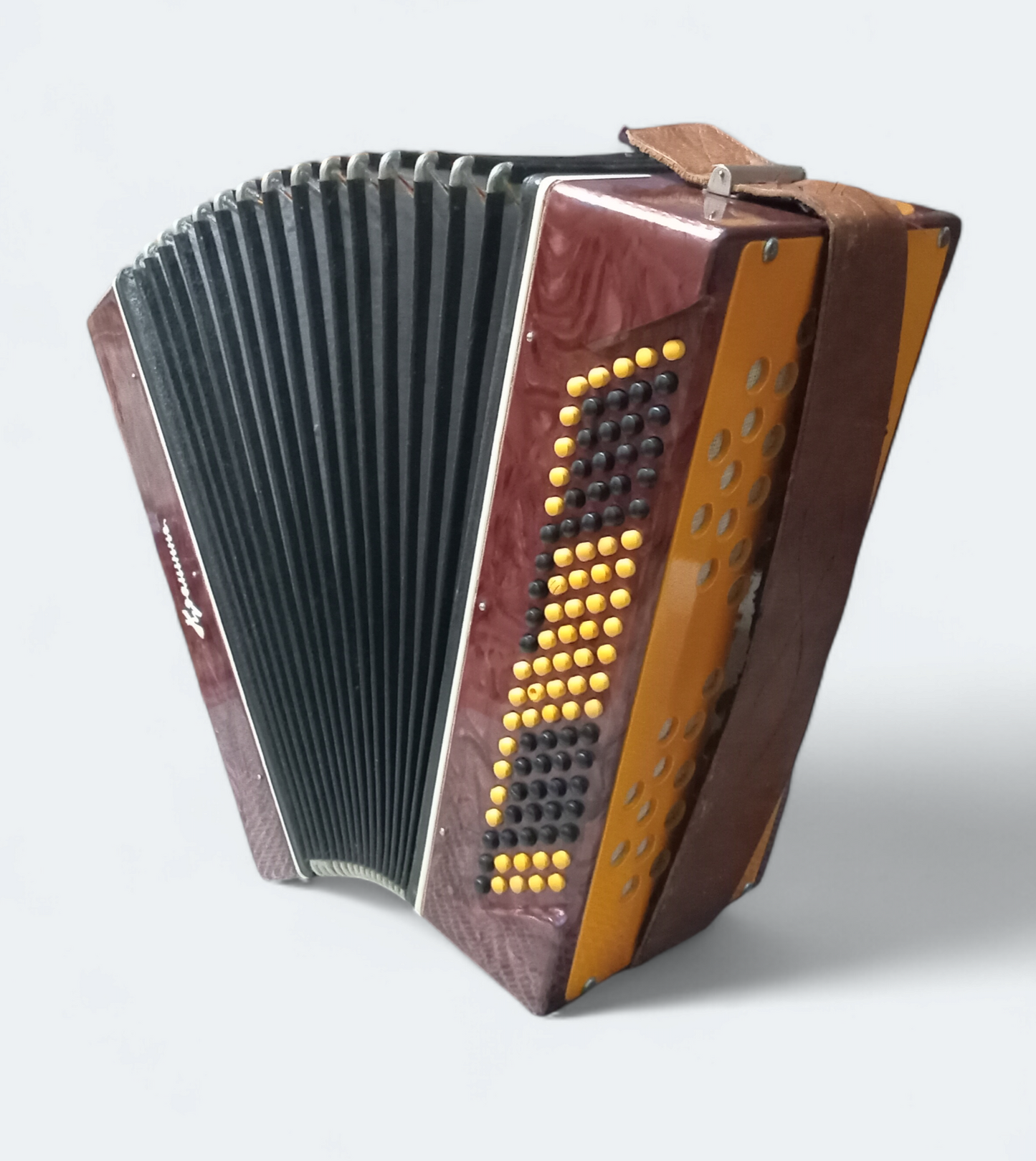 Accordion Bayan Kremennoe