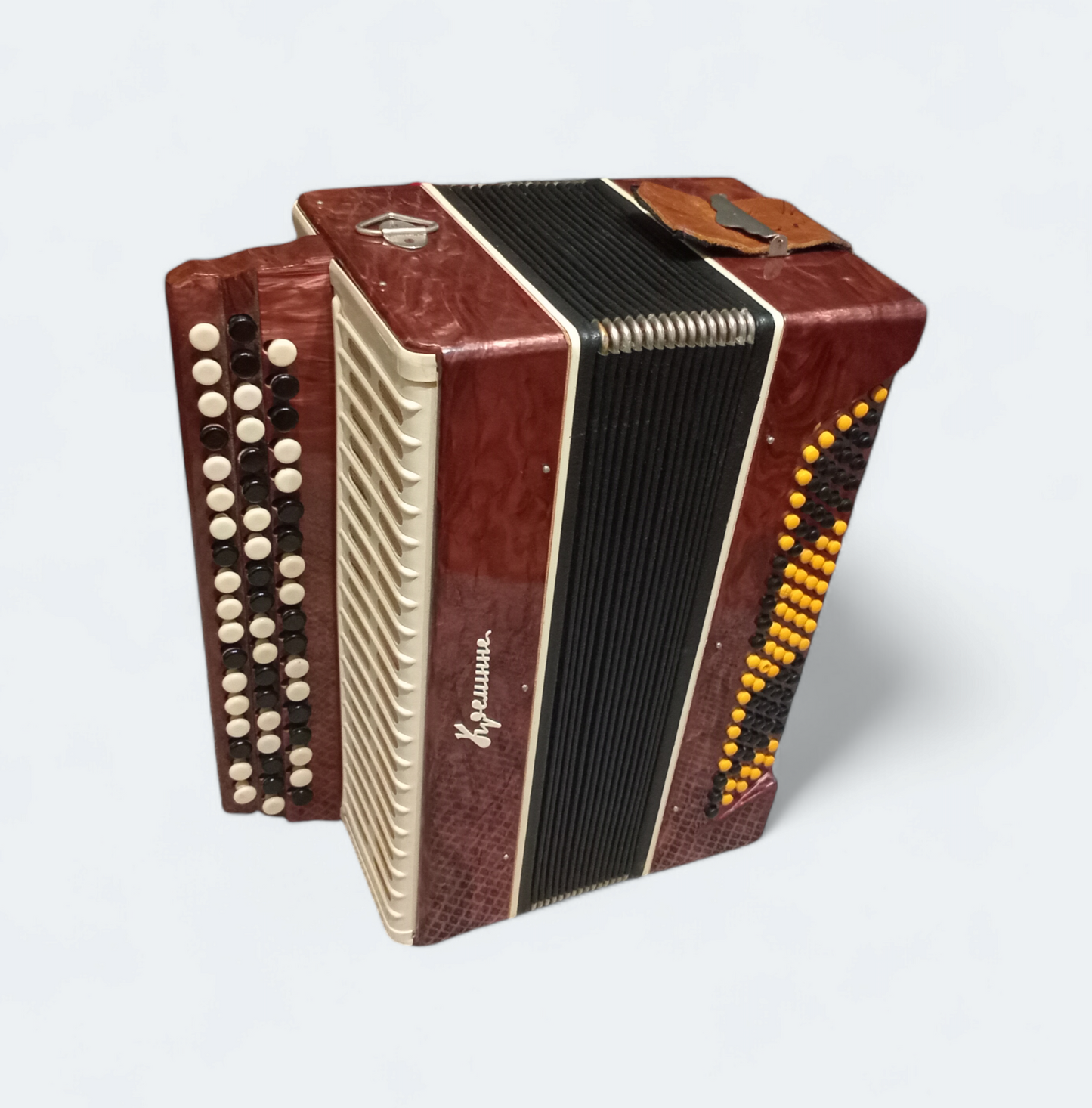Accordion Bayan Kremennoe
