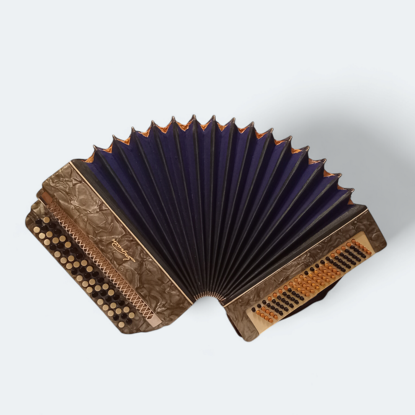 Accordion Bayan Ukrayina