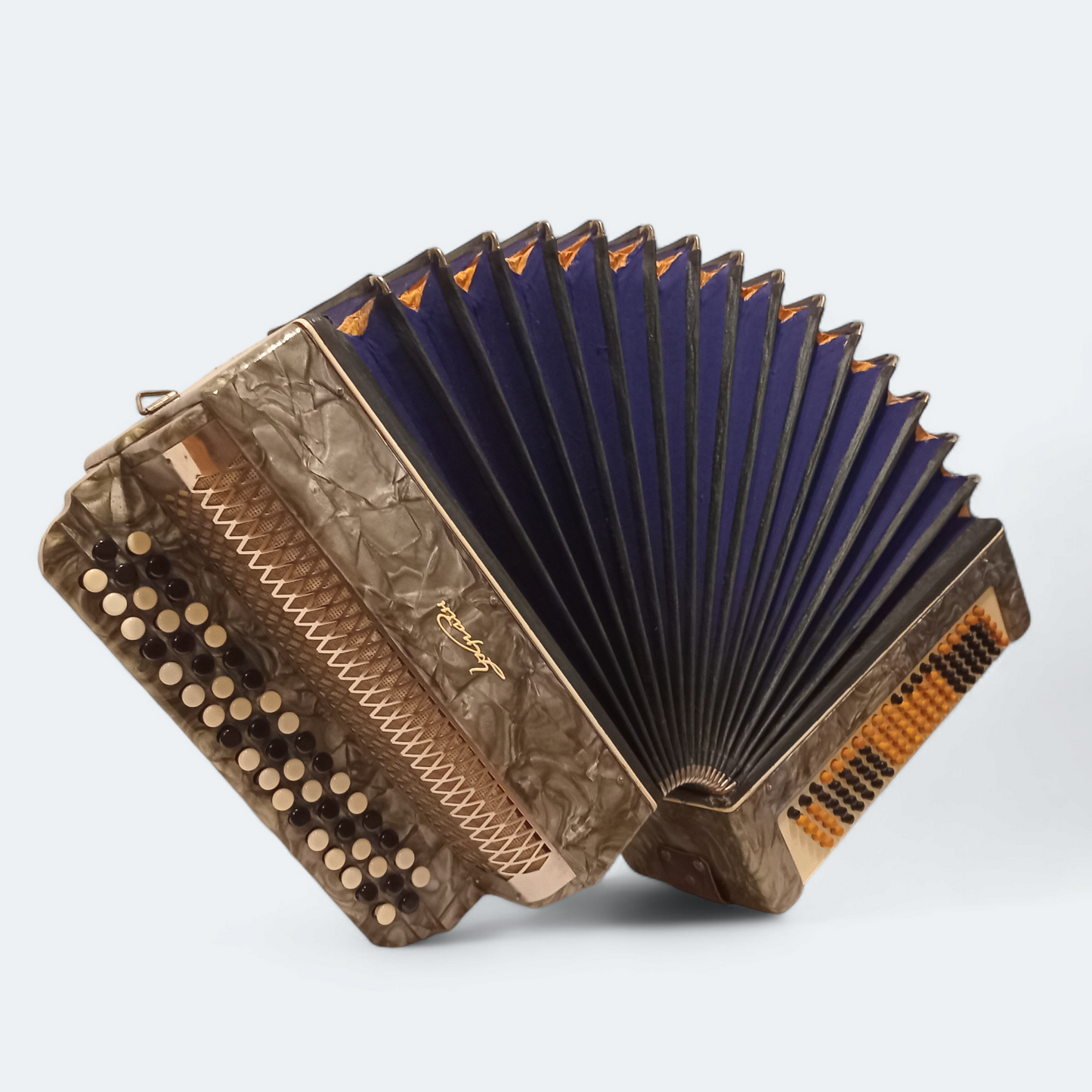 Accordion Bayan Ukrayina