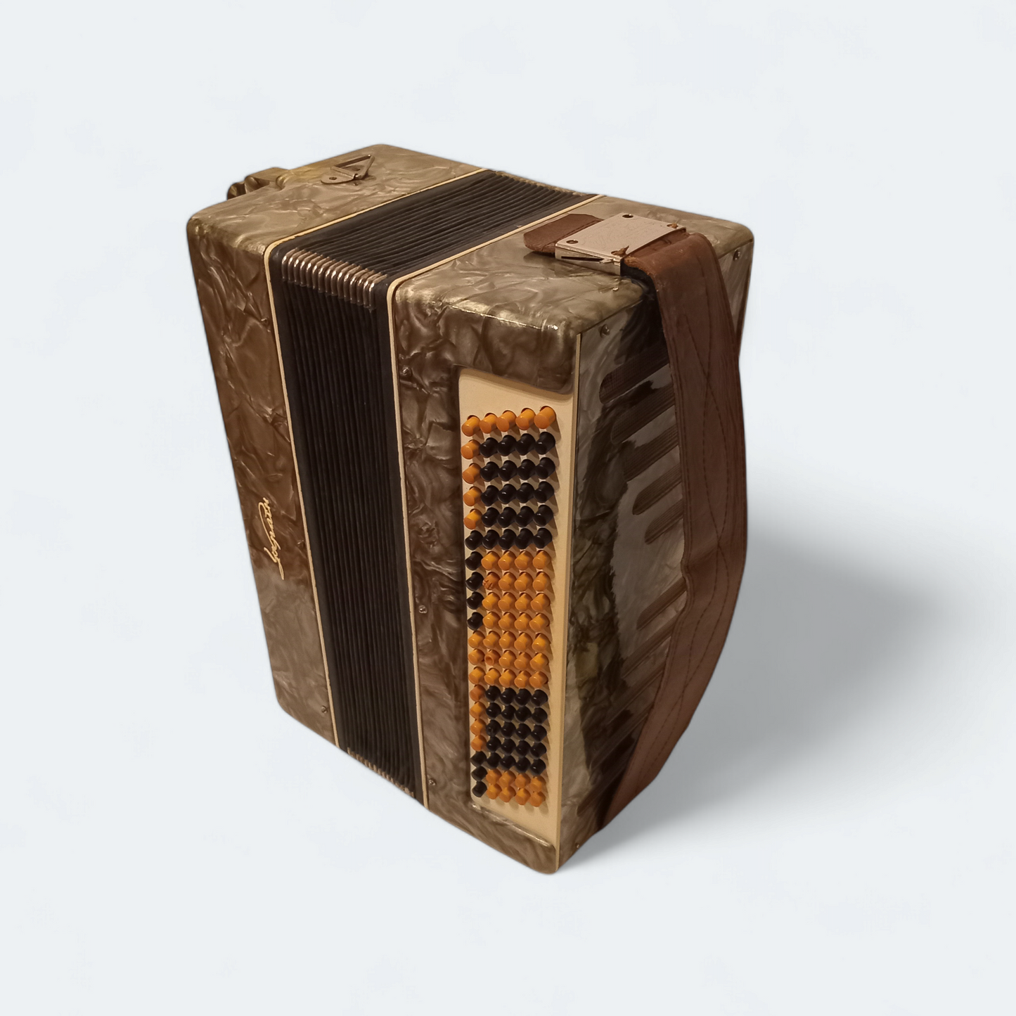 Accordion Bayan Ukrayina