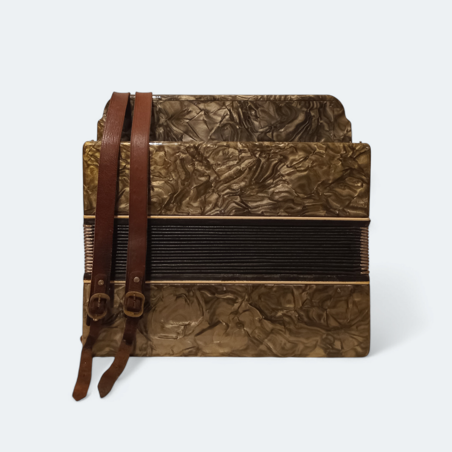 Accordion Bayan Ukrayina