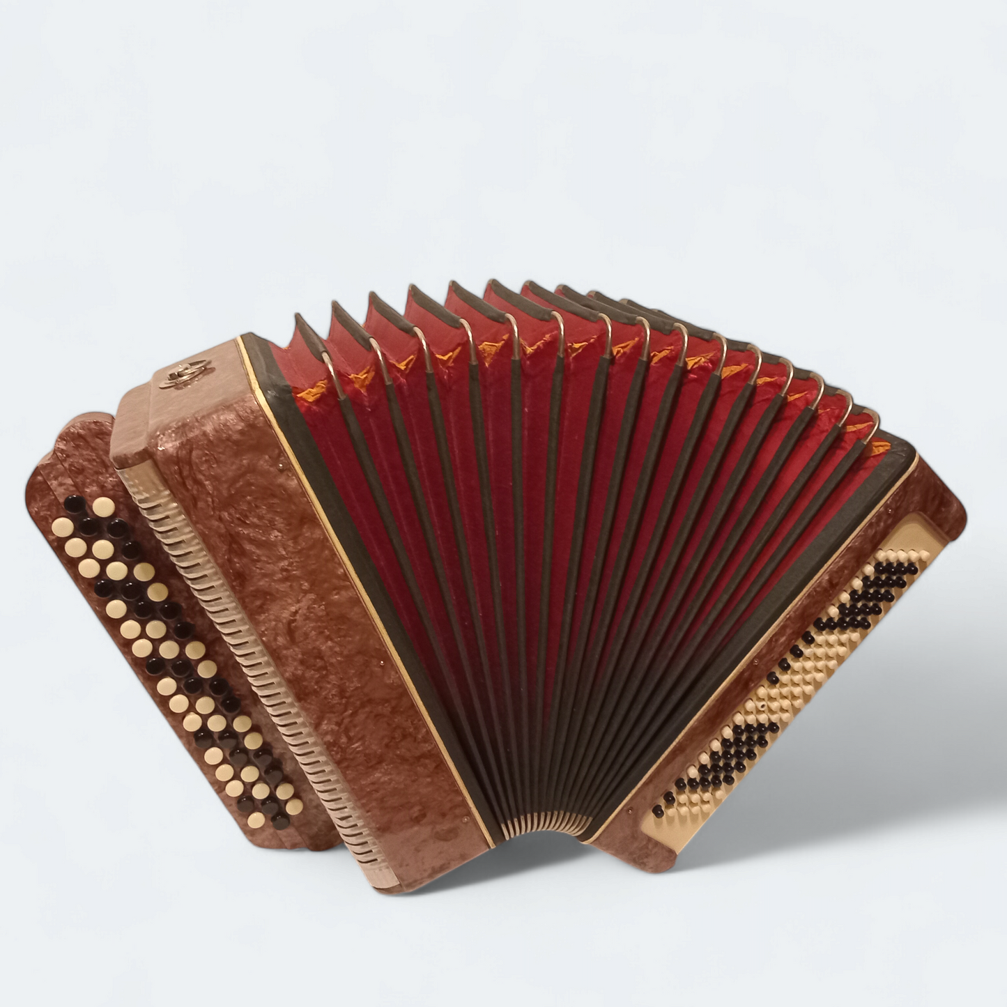 Accordion Bayan Ukrayina
