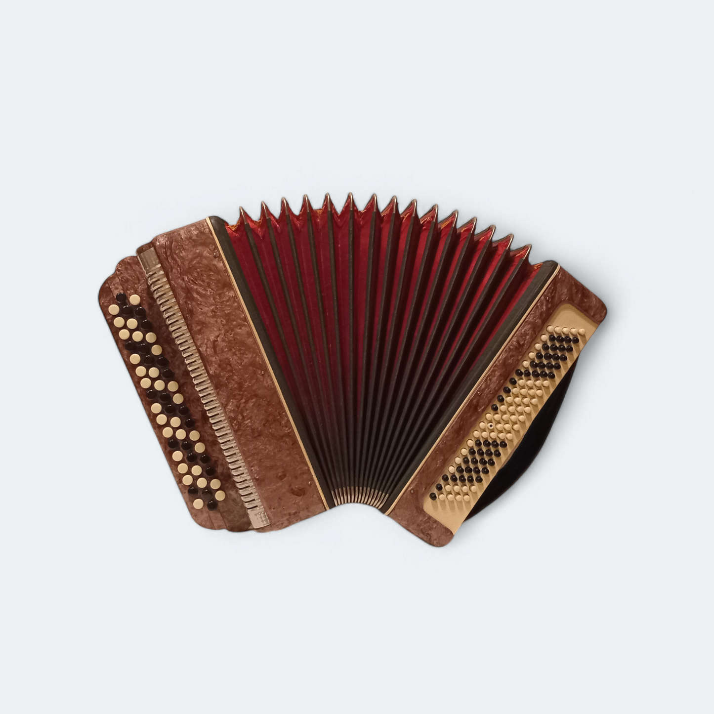 Accordion Bayan Ukrayina