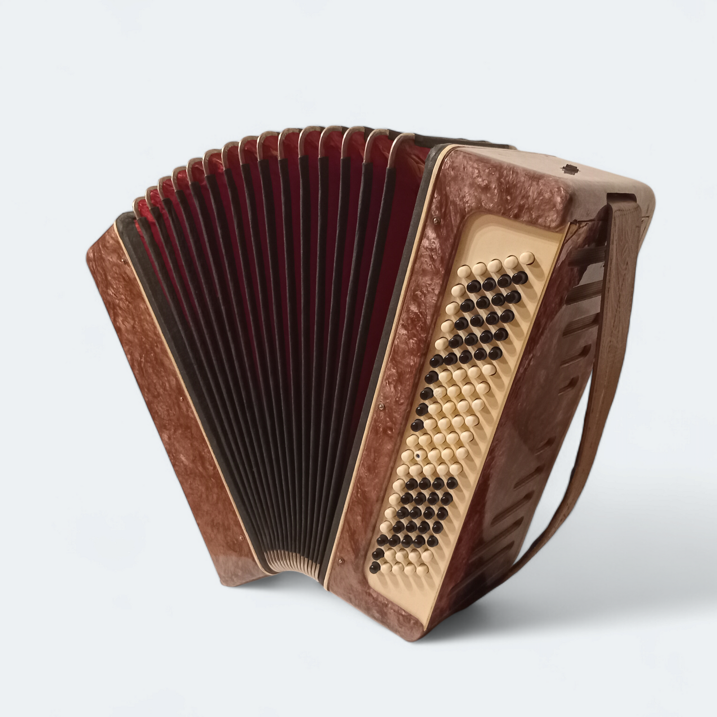 Accordion Bayan Ukrayina