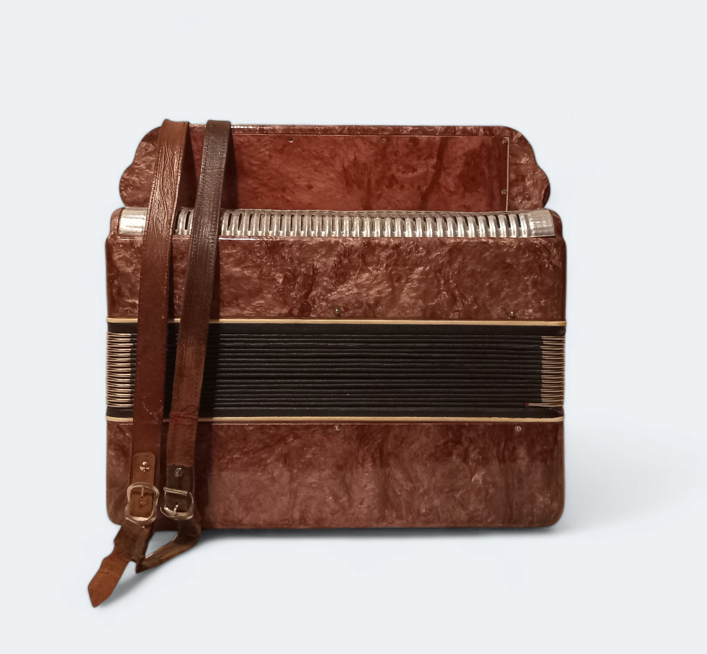 Accordion Bayan Ukrayina