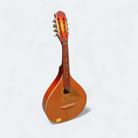 Mandolin Lvivska Stringed Instrument