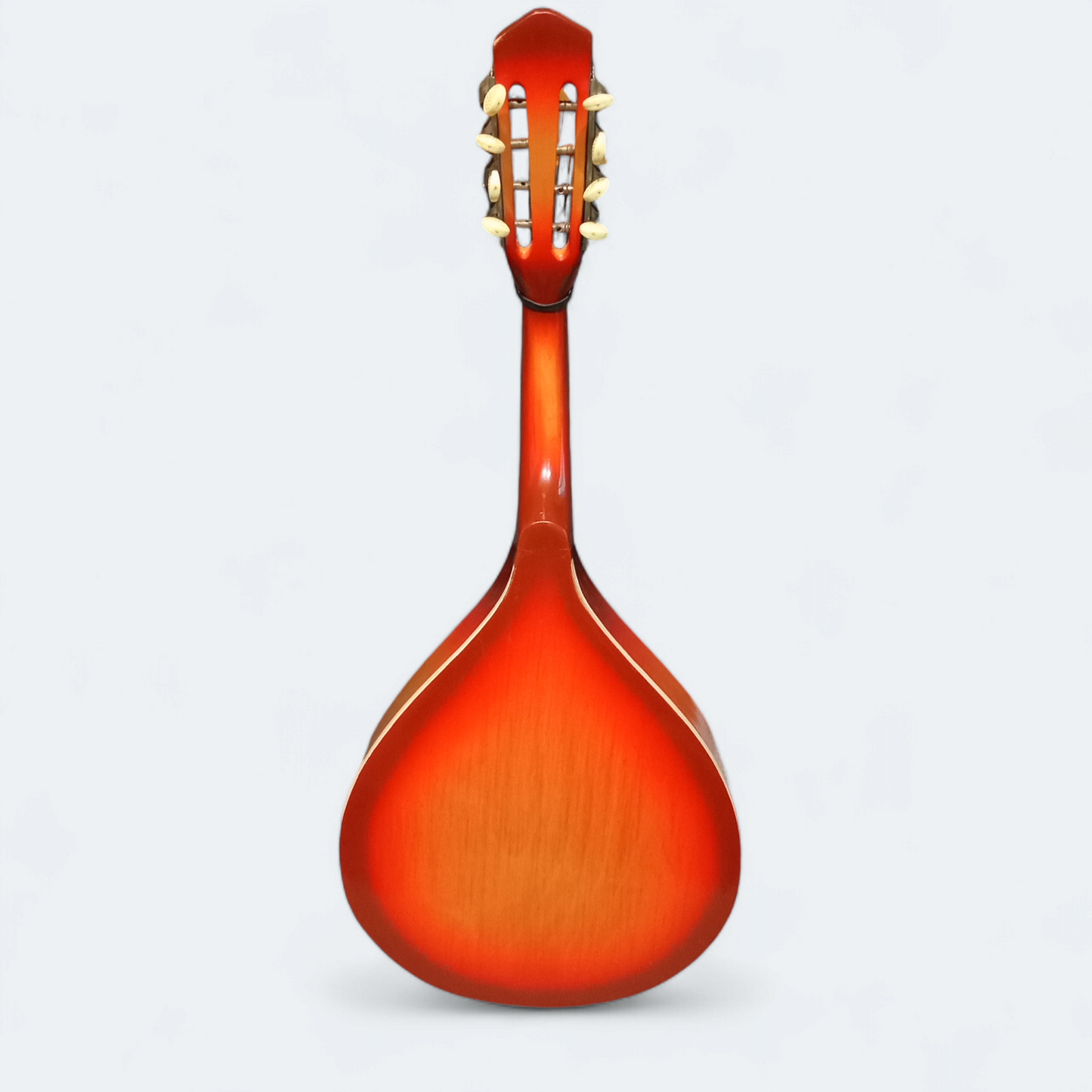 Mandolin Lvivska Stringed Instrument