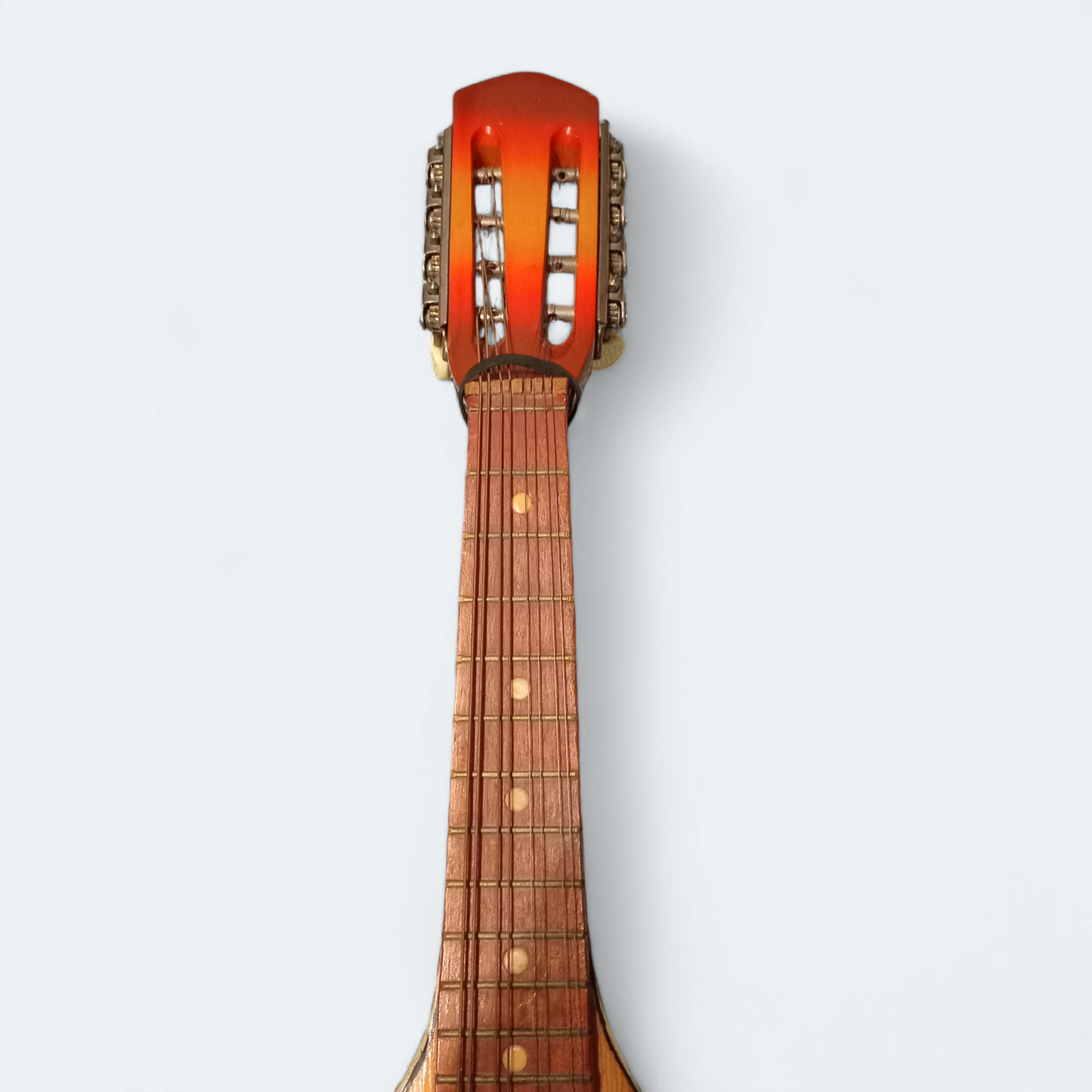 Mandolin Lvivska Stringed Instrument
