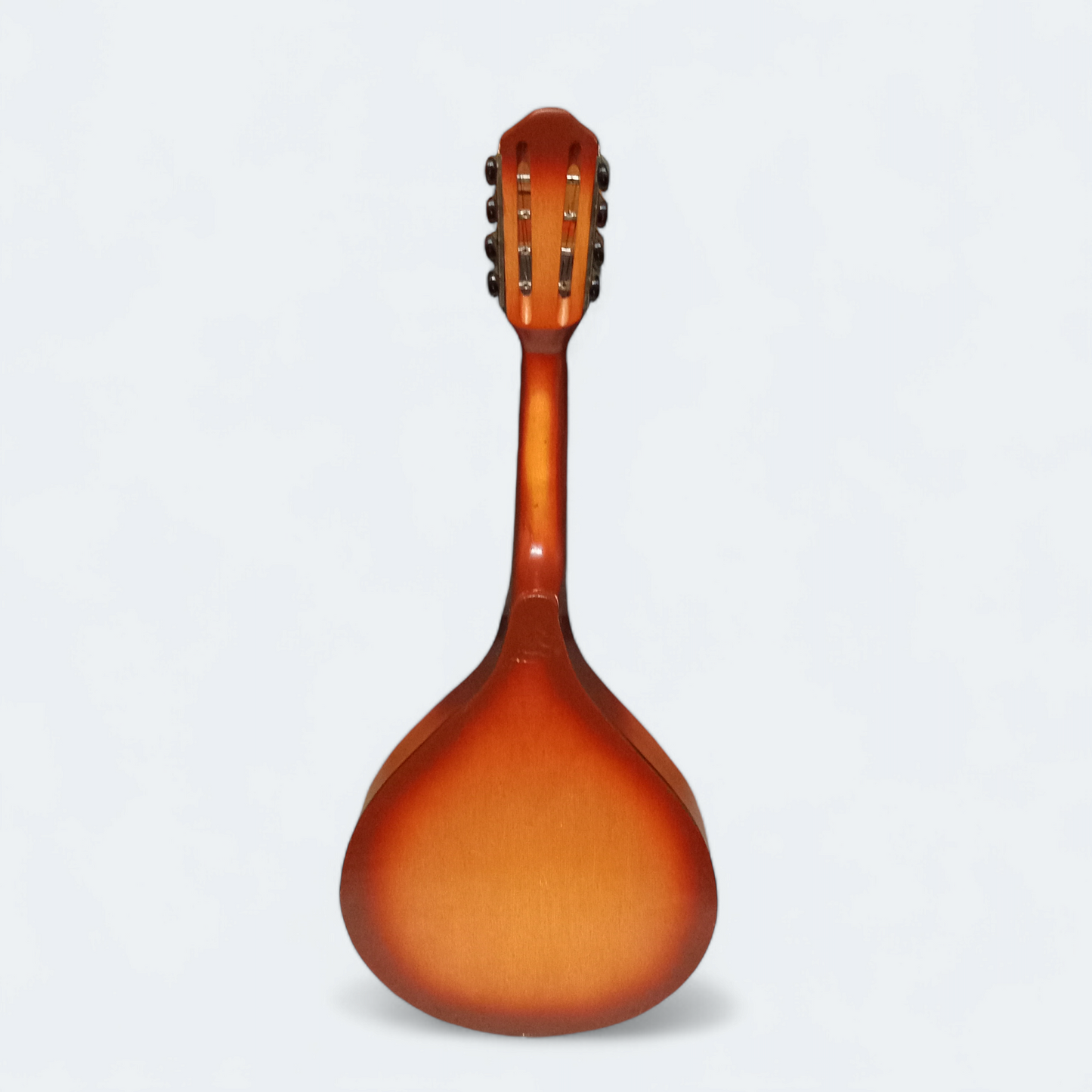 Mandolin Lvovskaya Stringed Instrument