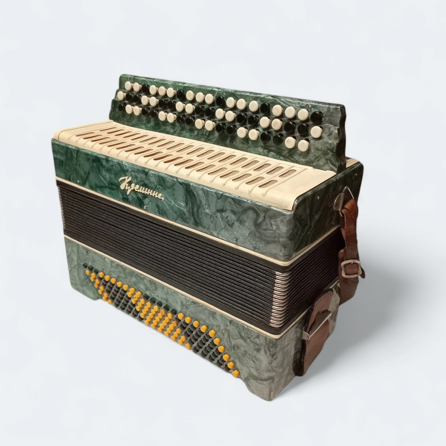 Accordion Bayan Kremennoe