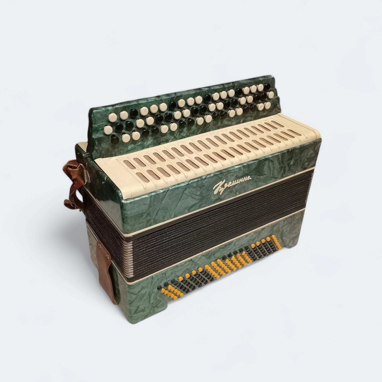 Accordion Bayan Kremennoe