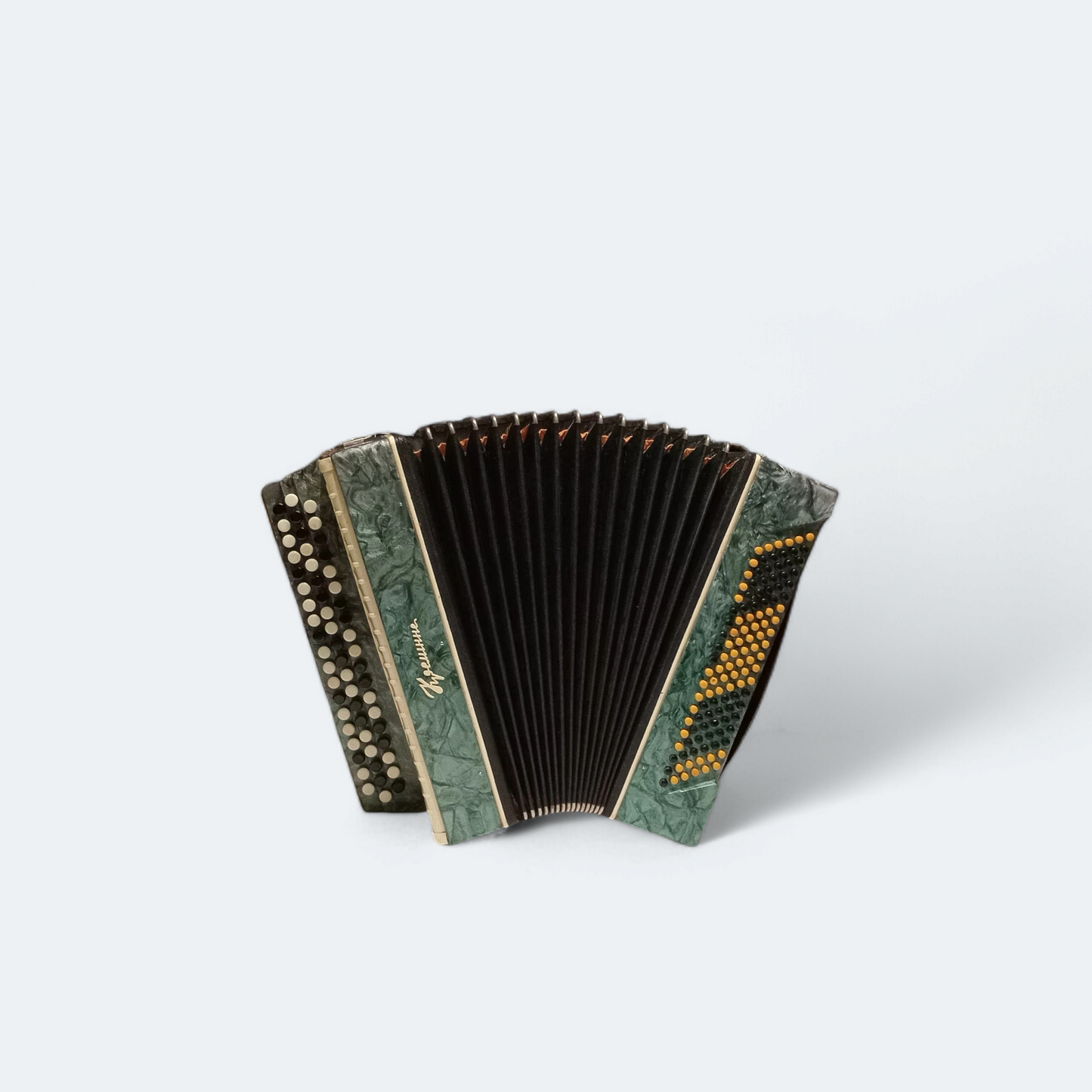 Accordion Bayan Kremennoe