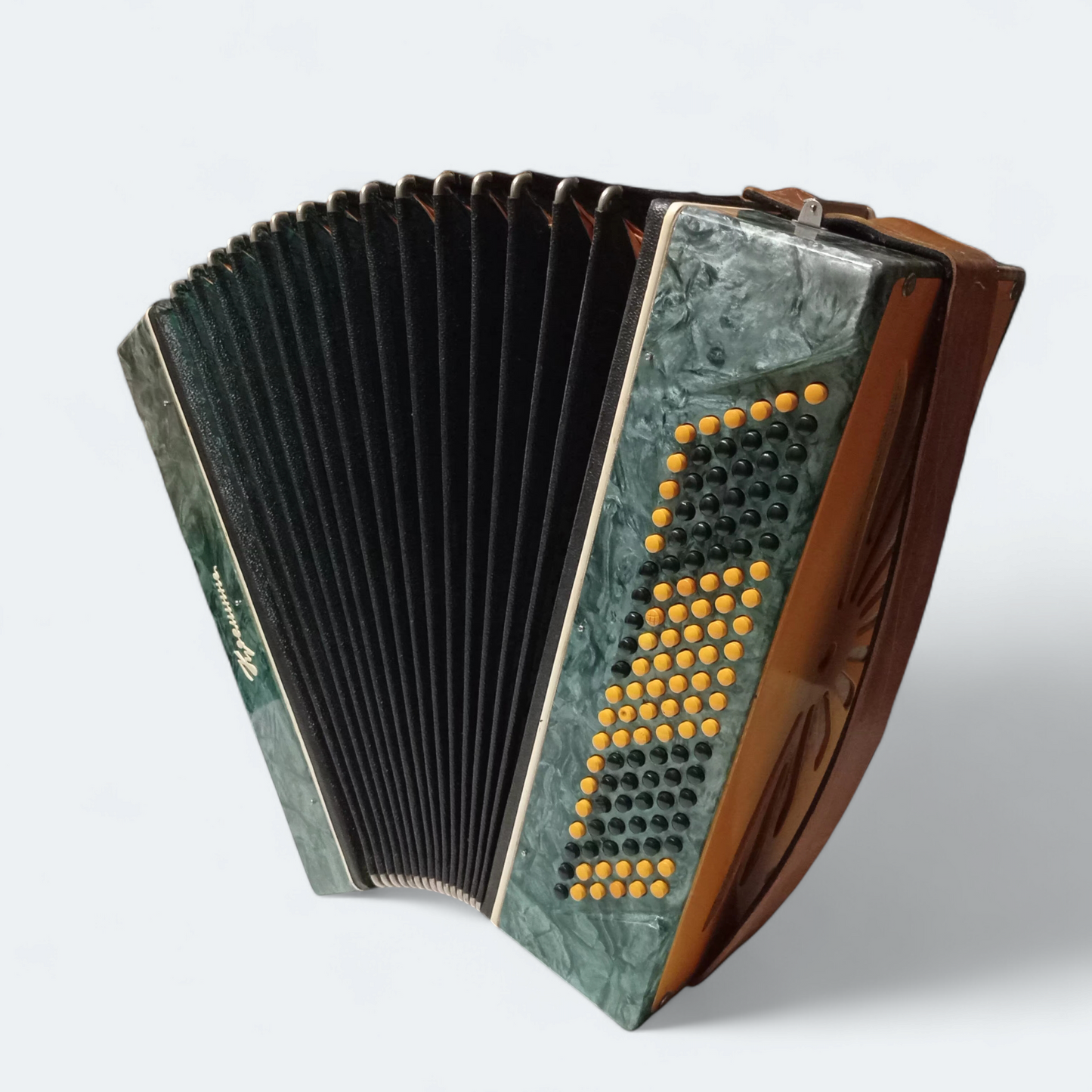 Accordion Bayan Kremennoe