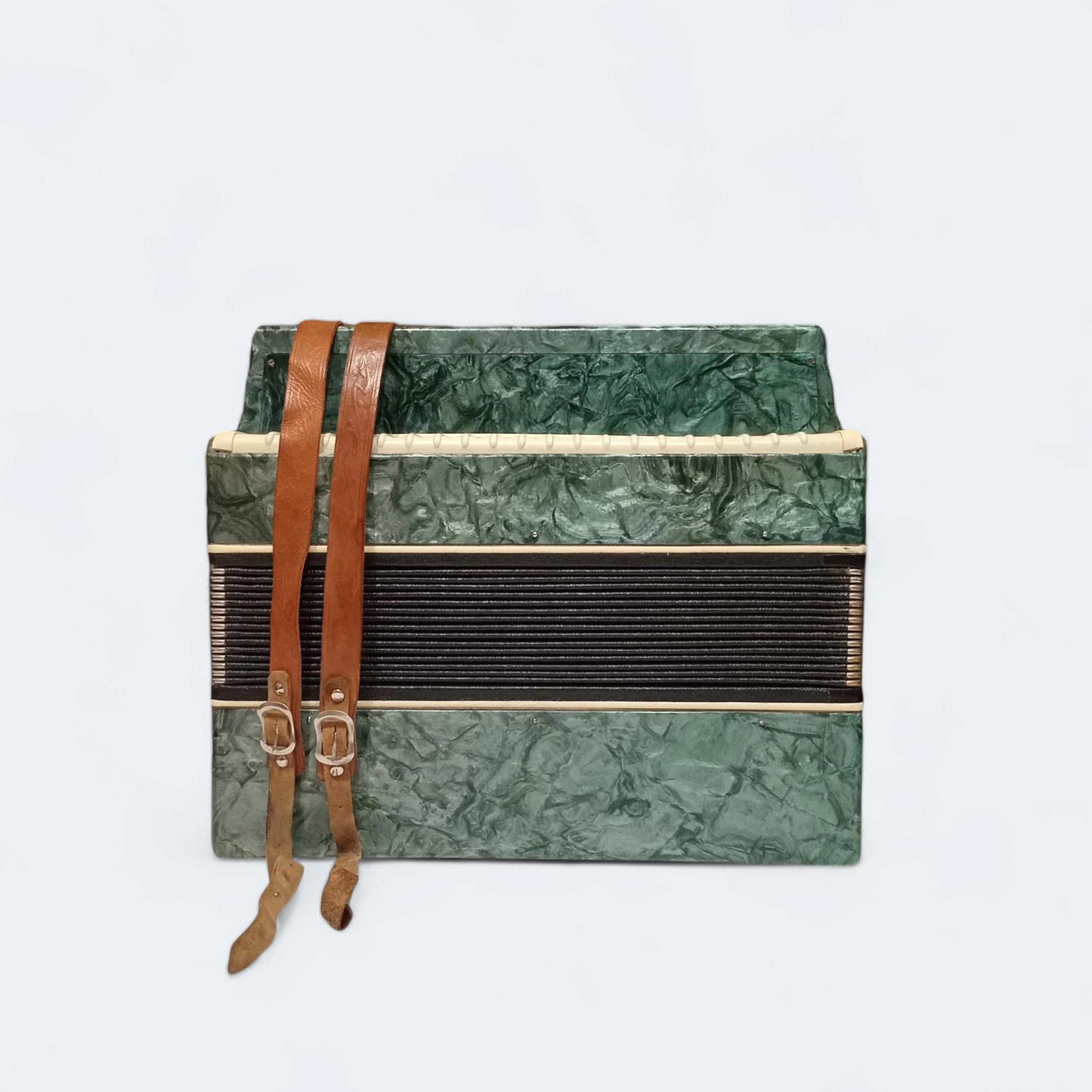 Accordion Bayan Kremennoe