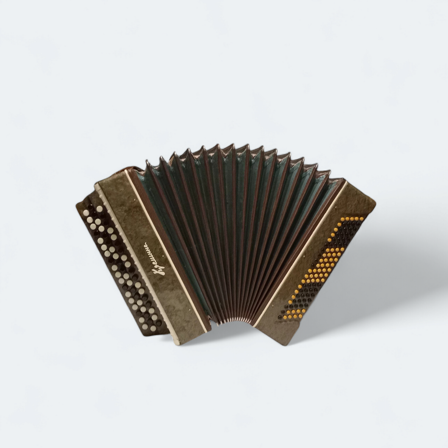 Accordion Bayan Kremennoe