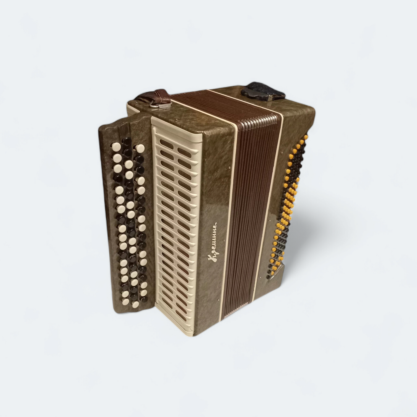 Accordion Bayan Kremennoe