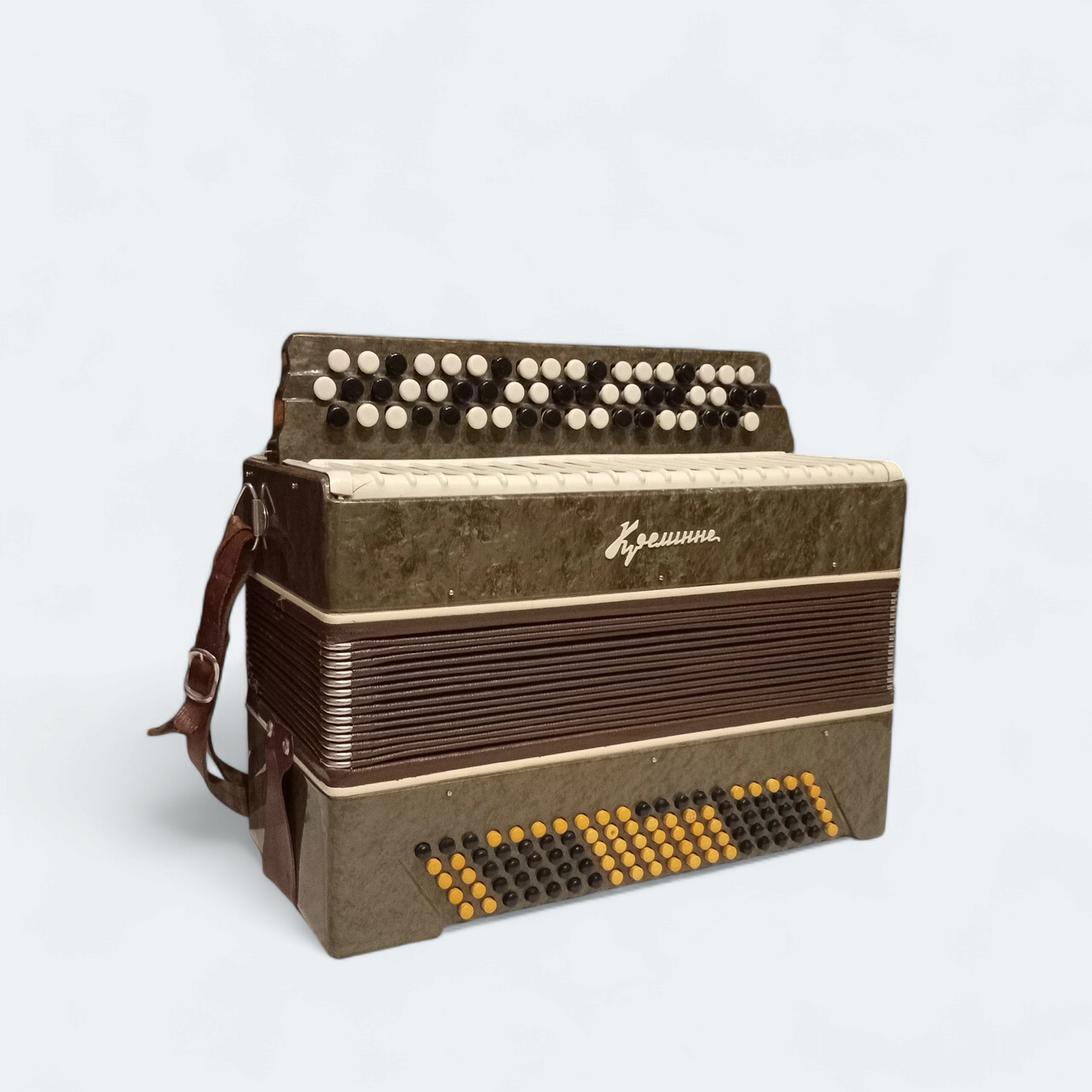 Accordion Bayan Kremennoe