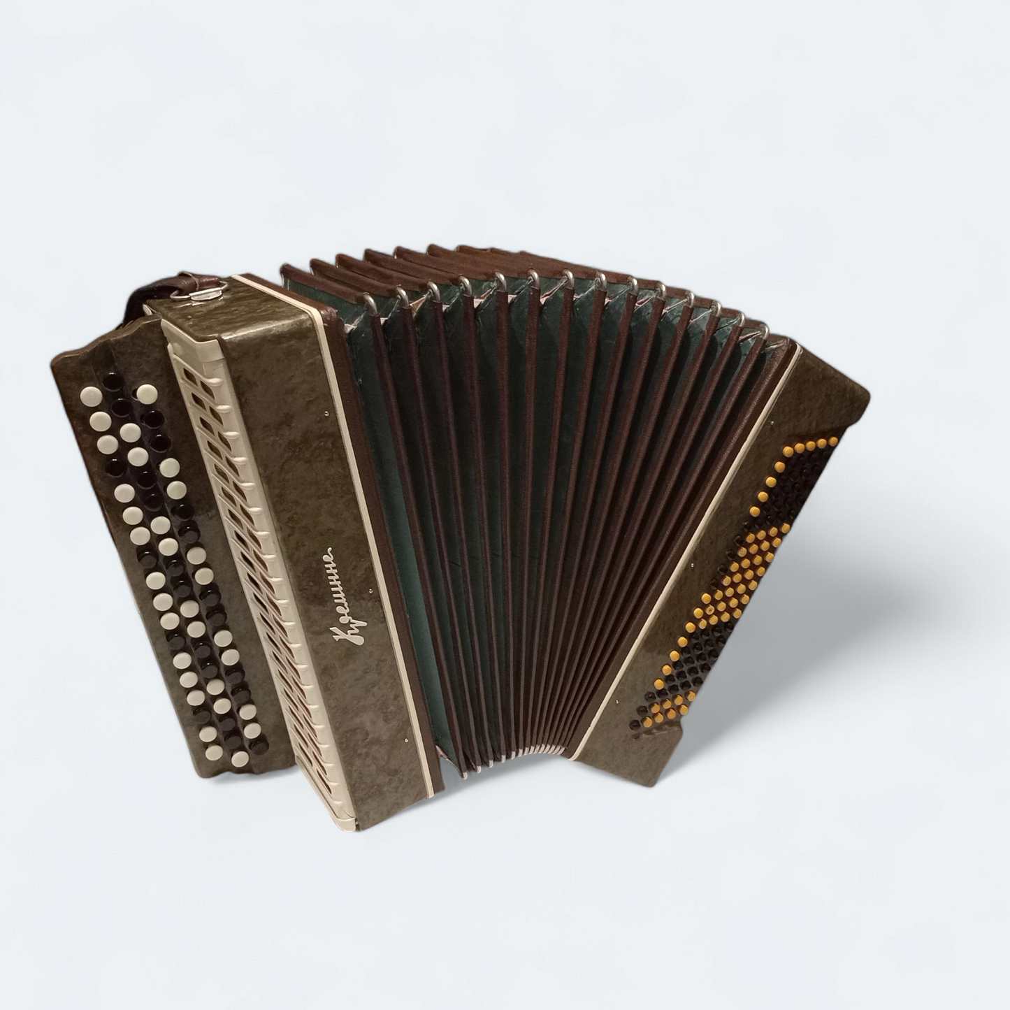 Accordion Bayan Kremennoe