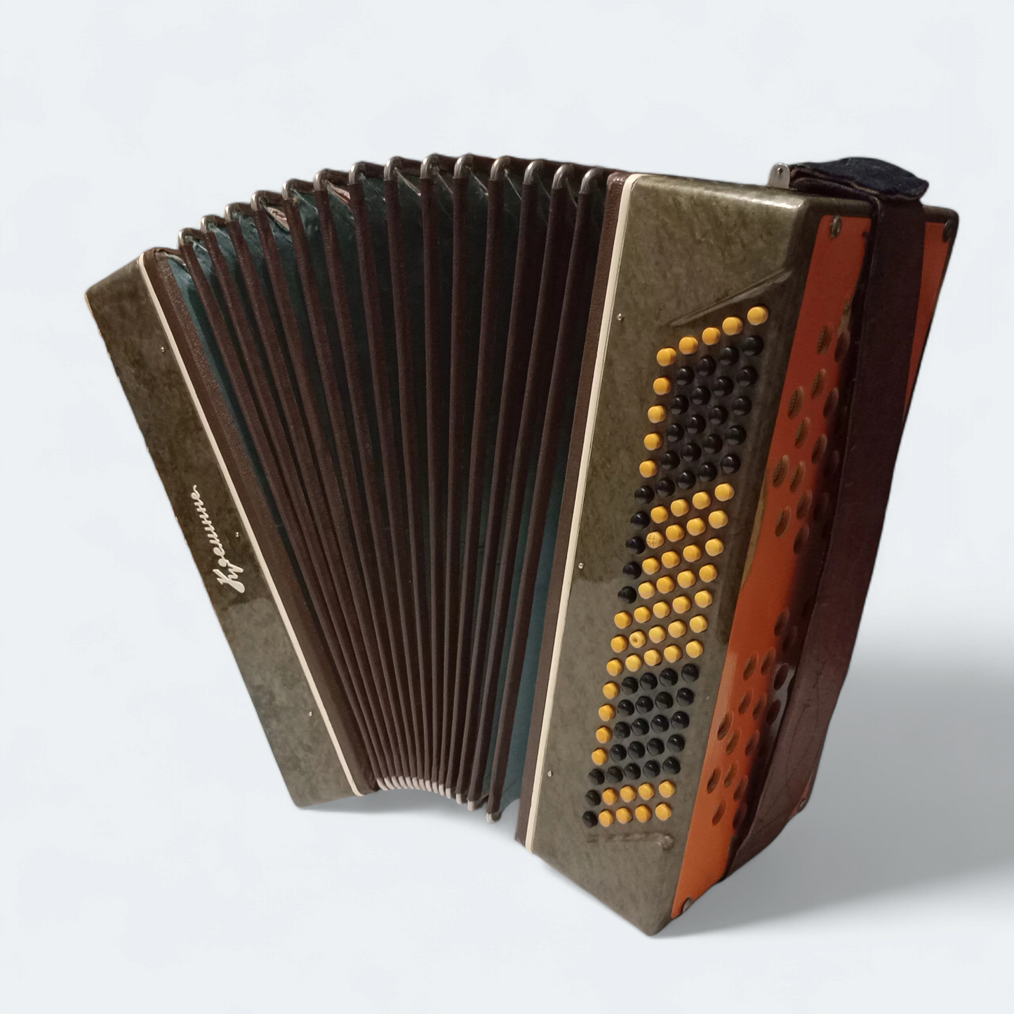 Accordion Bayan Kremennoe