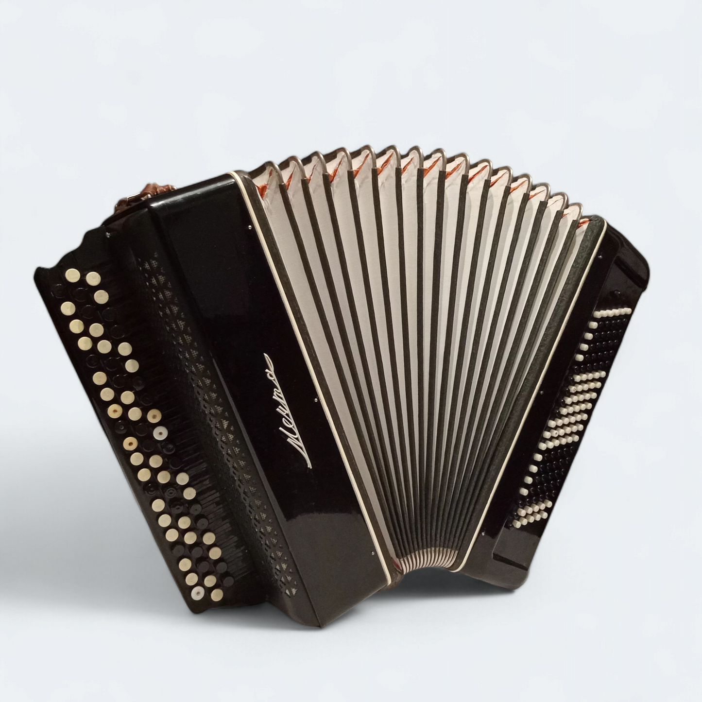 Accordion Bayan Mechta