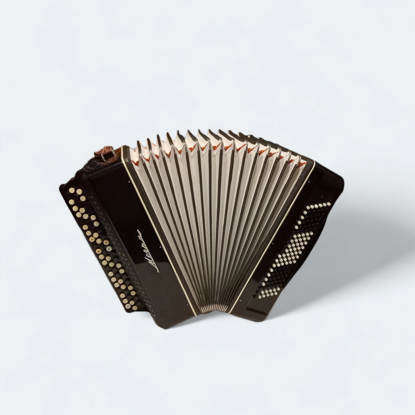 Accordion Bayan Mechta