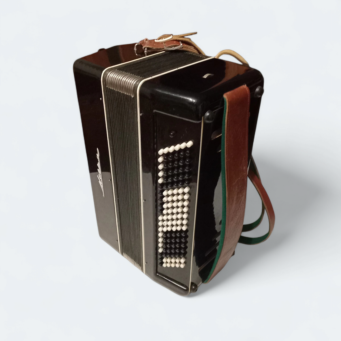 Accordion Bayan Mechta