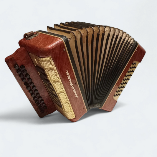 Accordion Garmon Marichka