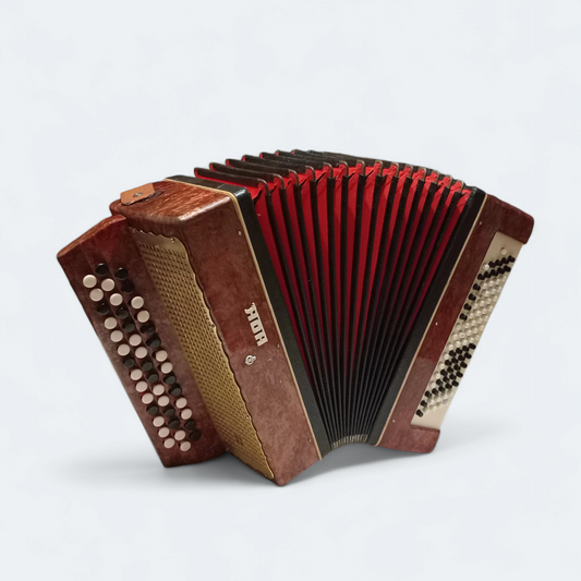 Accordion Bayan Rebyonok