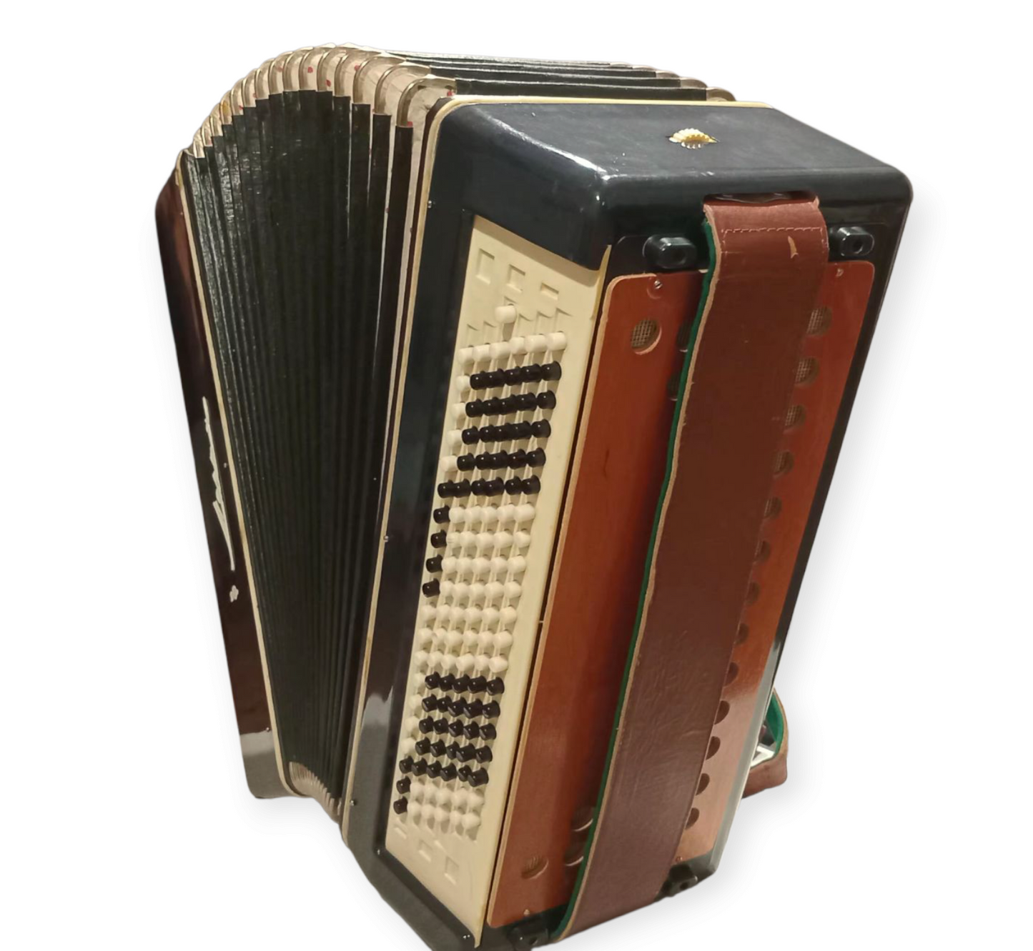 Accordion Bayan Mechta